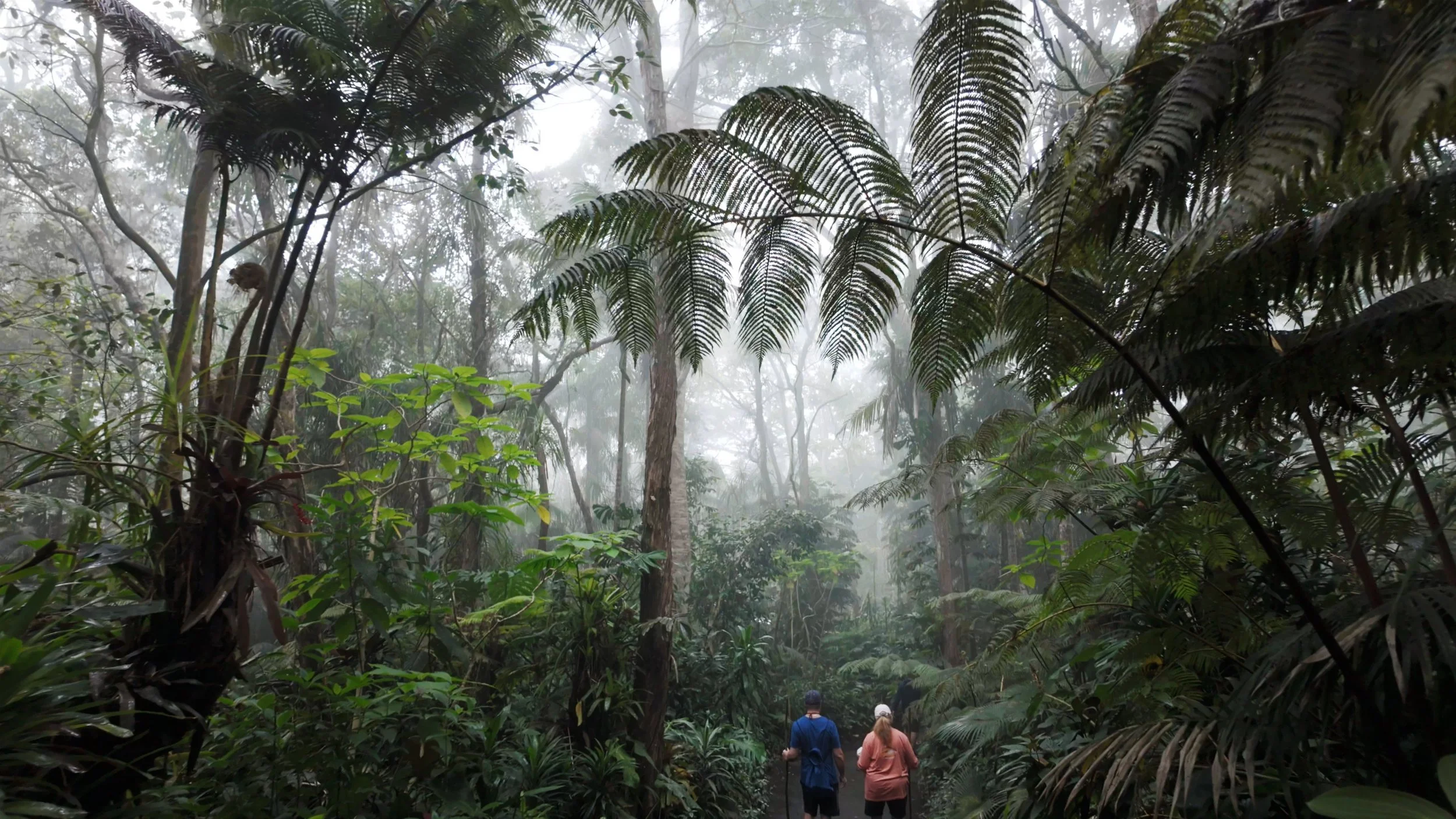 Two women in a kitchen, one wearing a red headscarf and plaid shirt chopping vegetables, and the other wearing a black headscarf, red jacket, and floral apron, smiling.