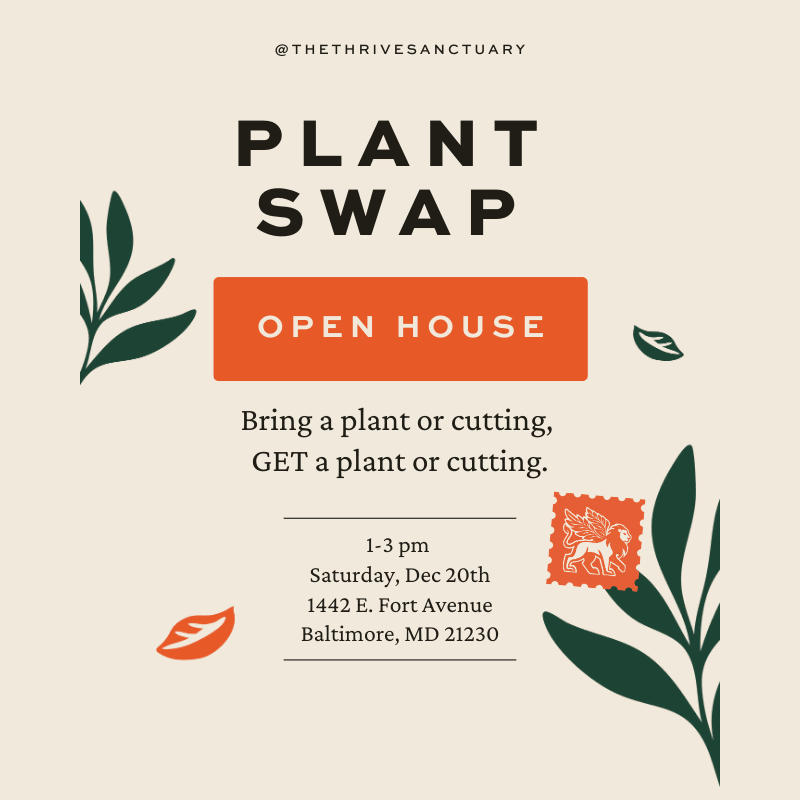 Plant and cutting SWAP at The Thrive Sanctuary 