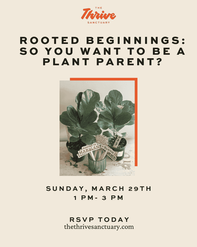 Rooted Beginnings: So You Want to Be a Plant Parent?