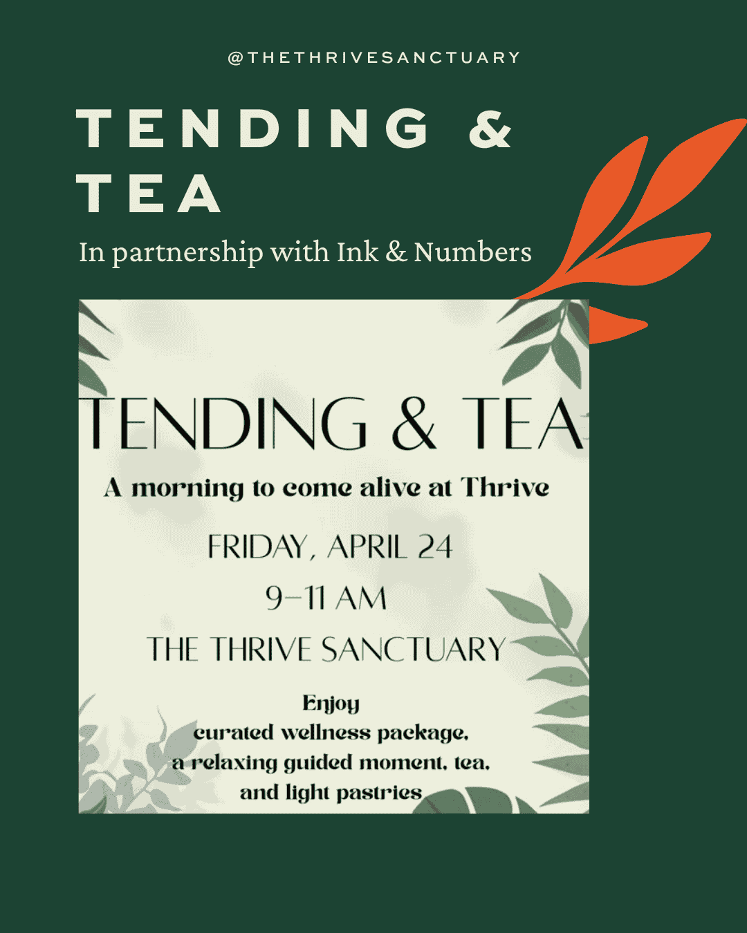 Tending &amp; Tea in Partnership with Ink &amp; Numbers
