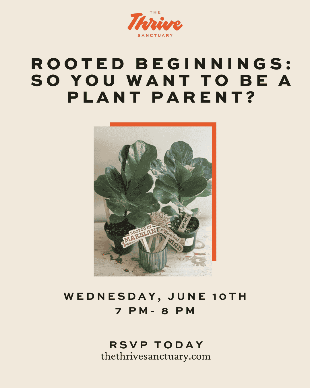 Rooted Beginnings: So You Want to Be a Plant Parent? 