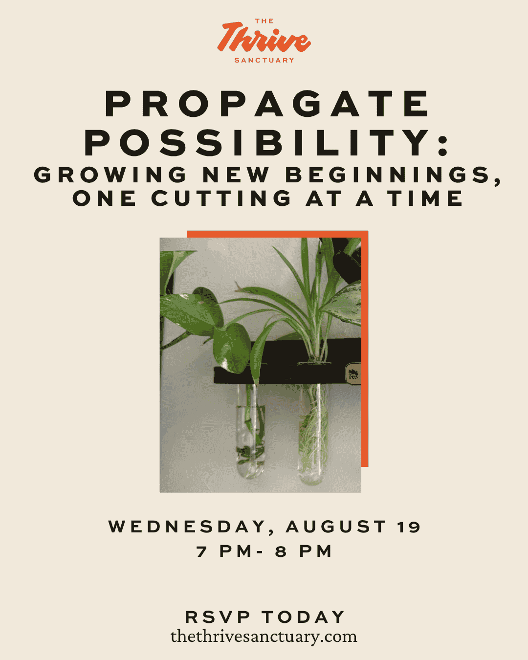 Propagate Possibility: Growing New Beginnings, One Cutting at a Time