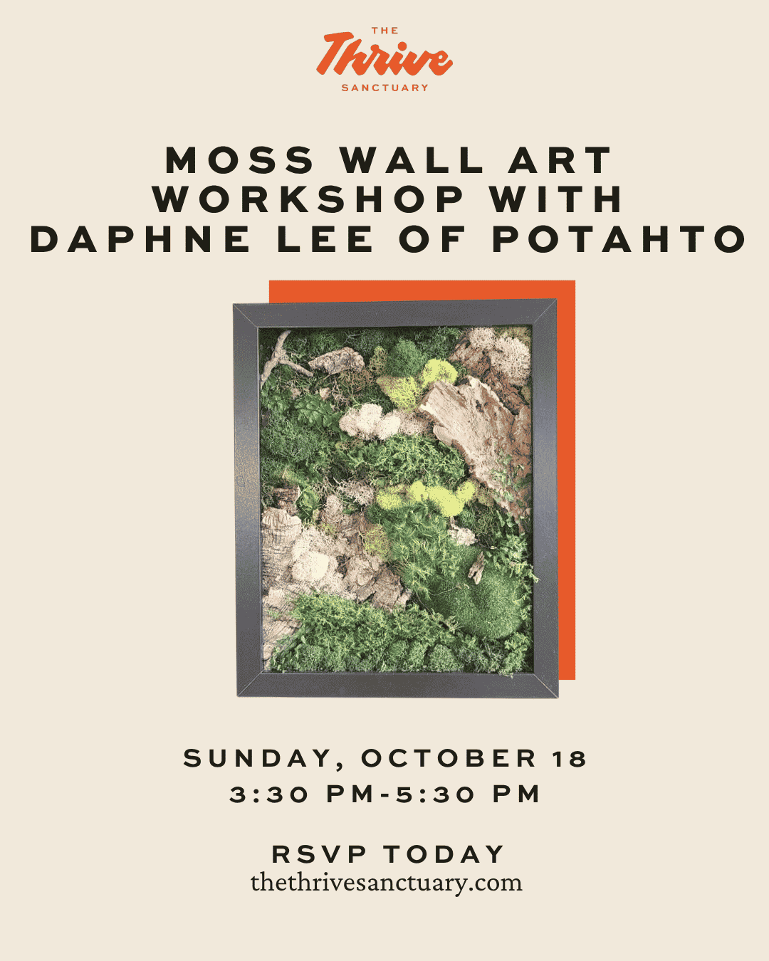Moss Art Workshop 