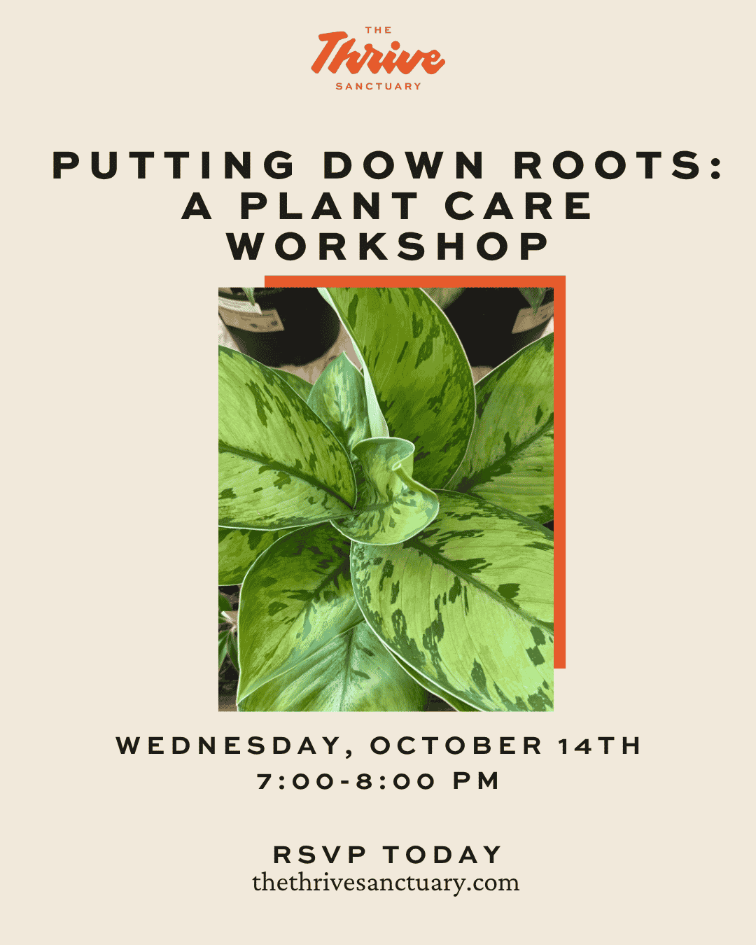 Putting down Roots: A plant Care Workshop