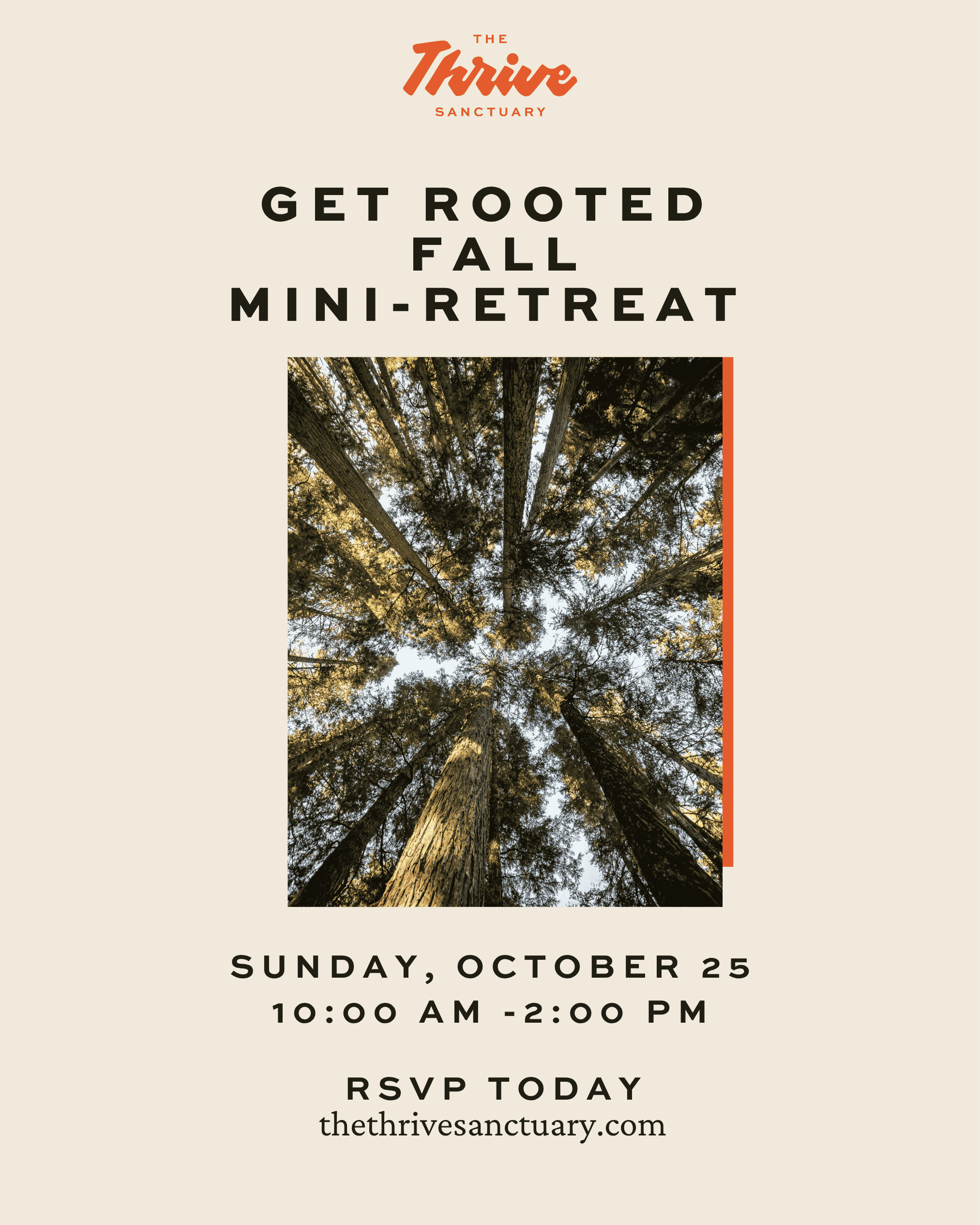 Get Rooted: a mini-retreat to reconnect with what matters most