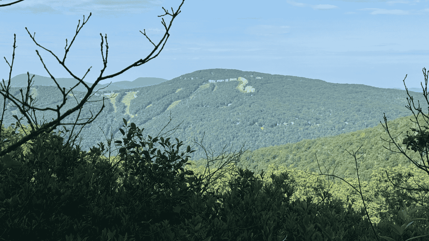 View of green forested mountain landscape with hills and slopes, some cleared areas, and a cloudy sky.
