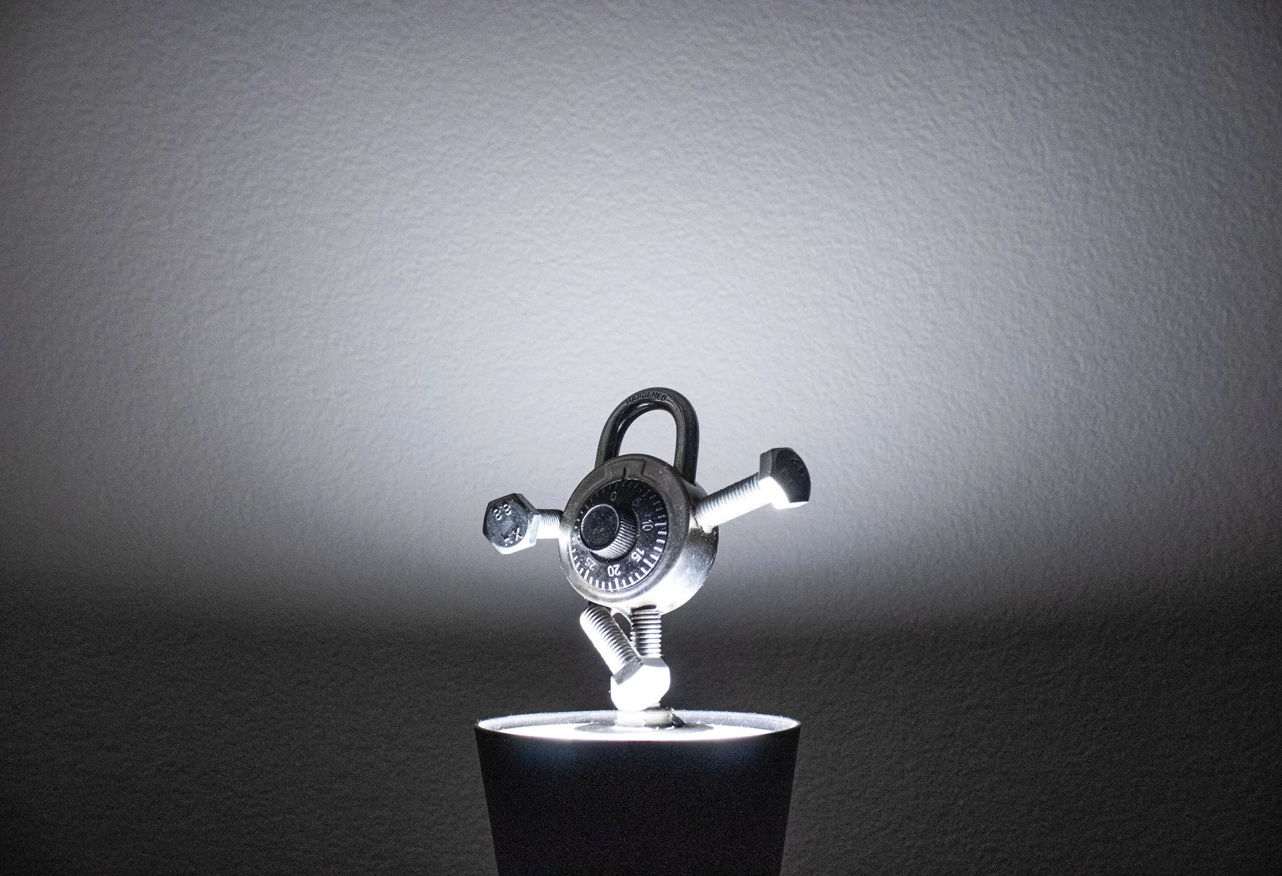 "Spotlight" - January 2025