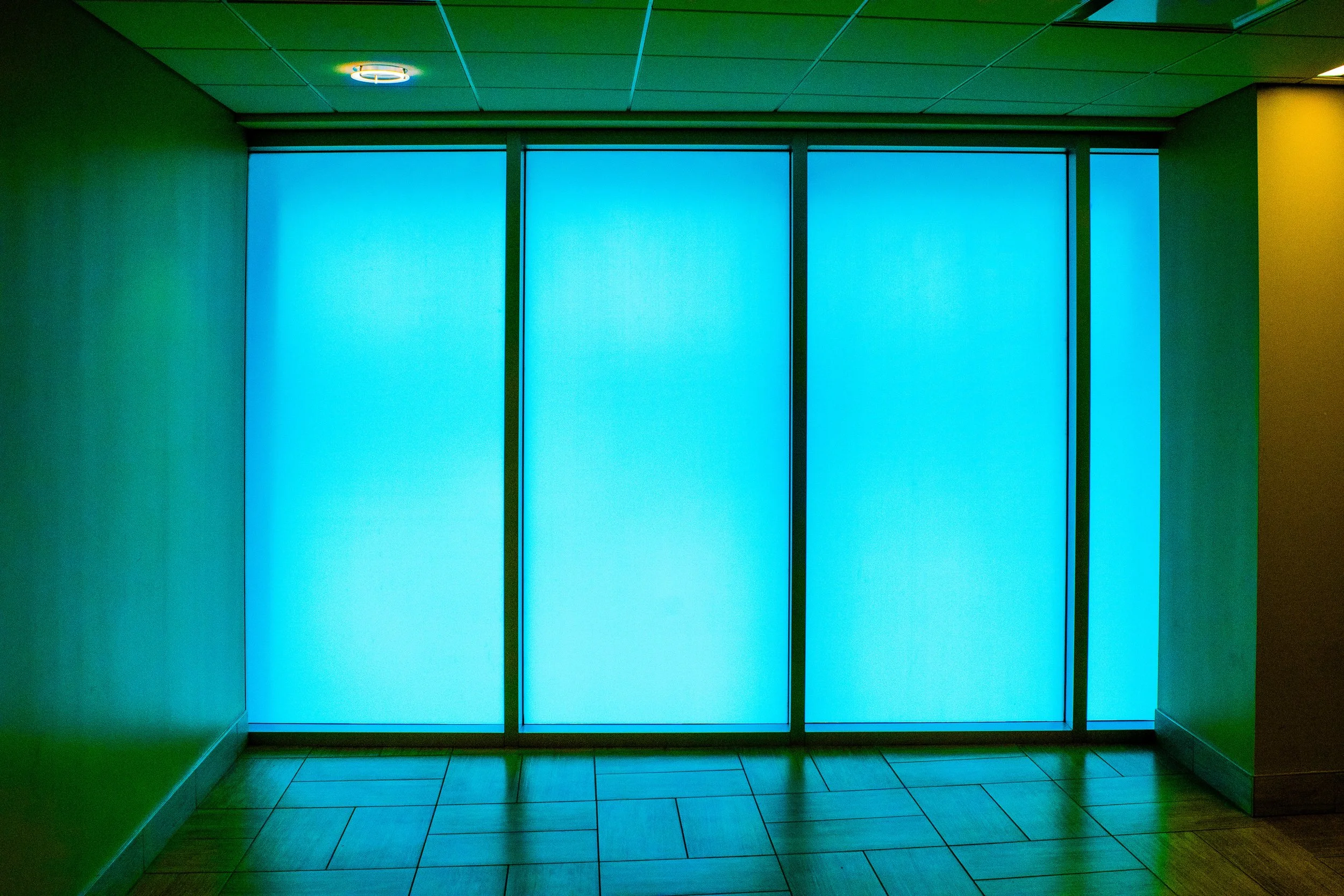 "Portal" - January 2025