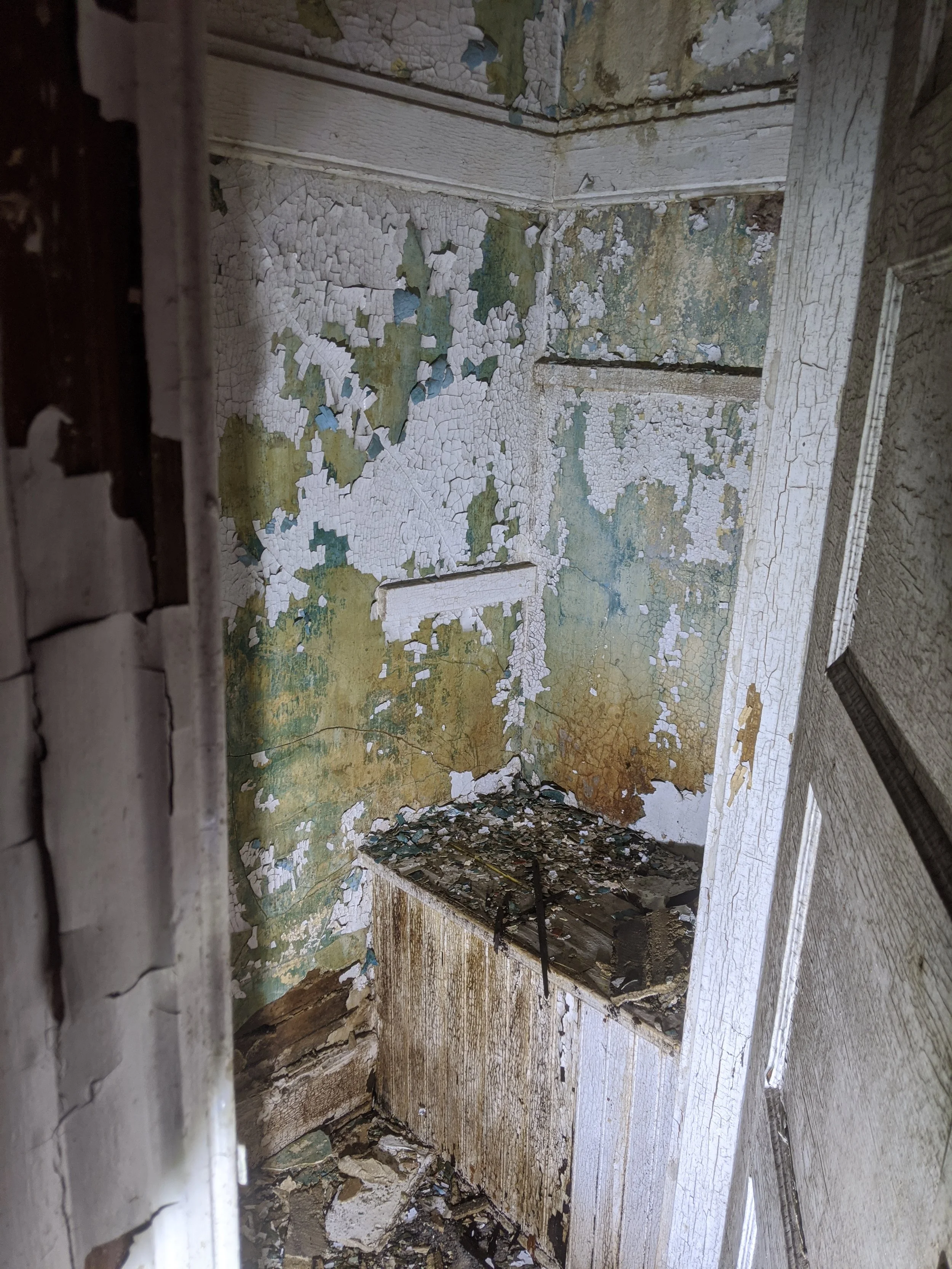 Cincinnati-home-restoration-interior-before-pantry.jpg