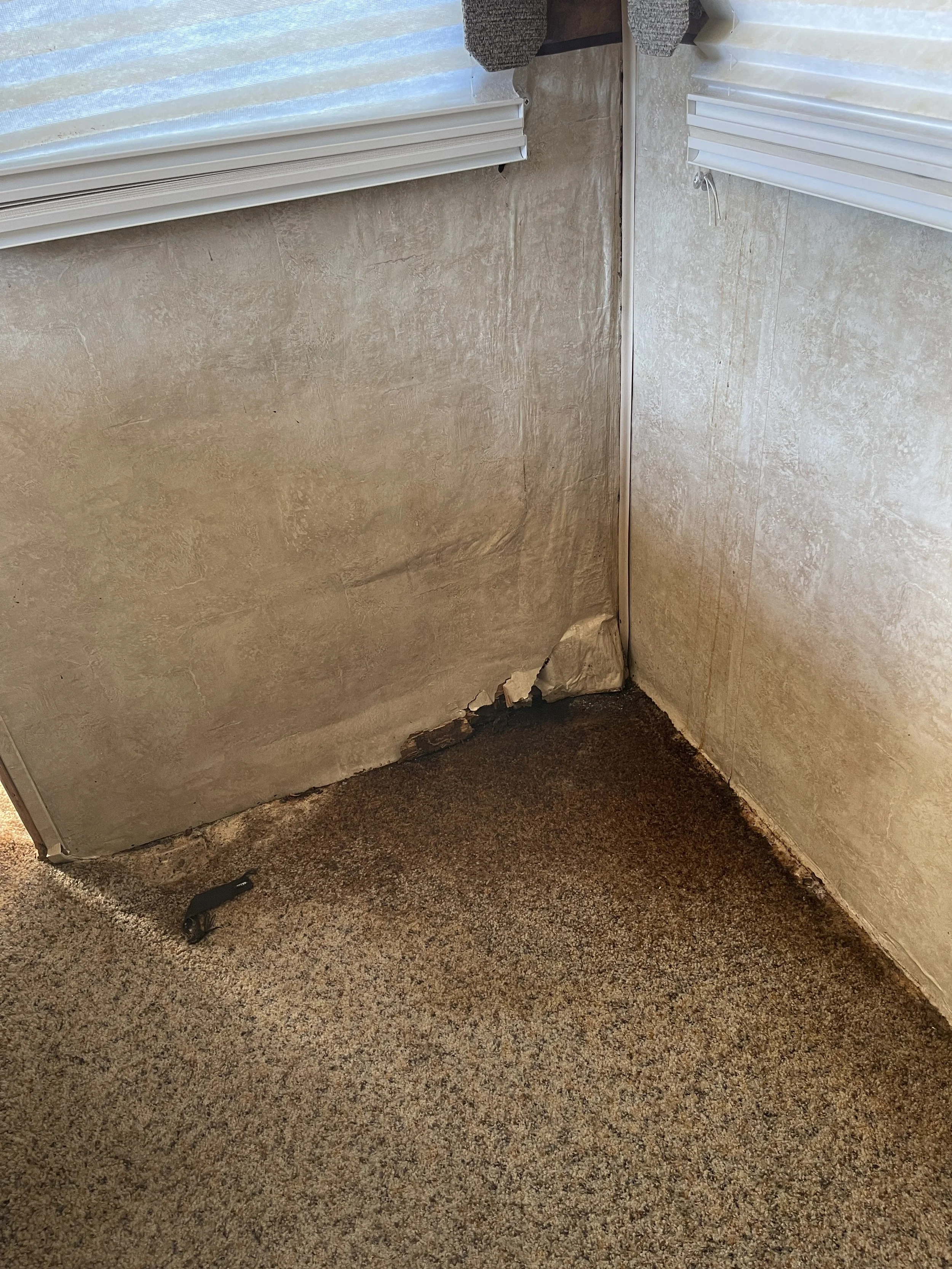 DAMAGED FLOOR DUE TO A LEAK 
