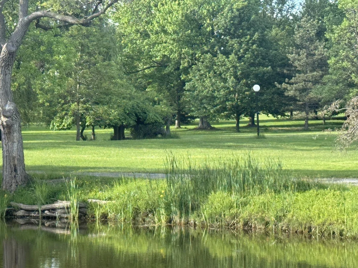 sonnepark2.JPG