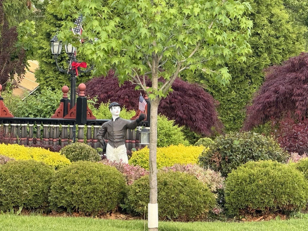 town garden.JPG