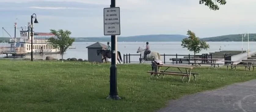 horses.JPG