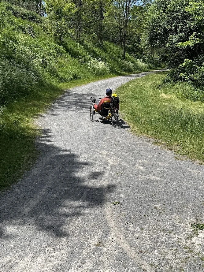 Training Day