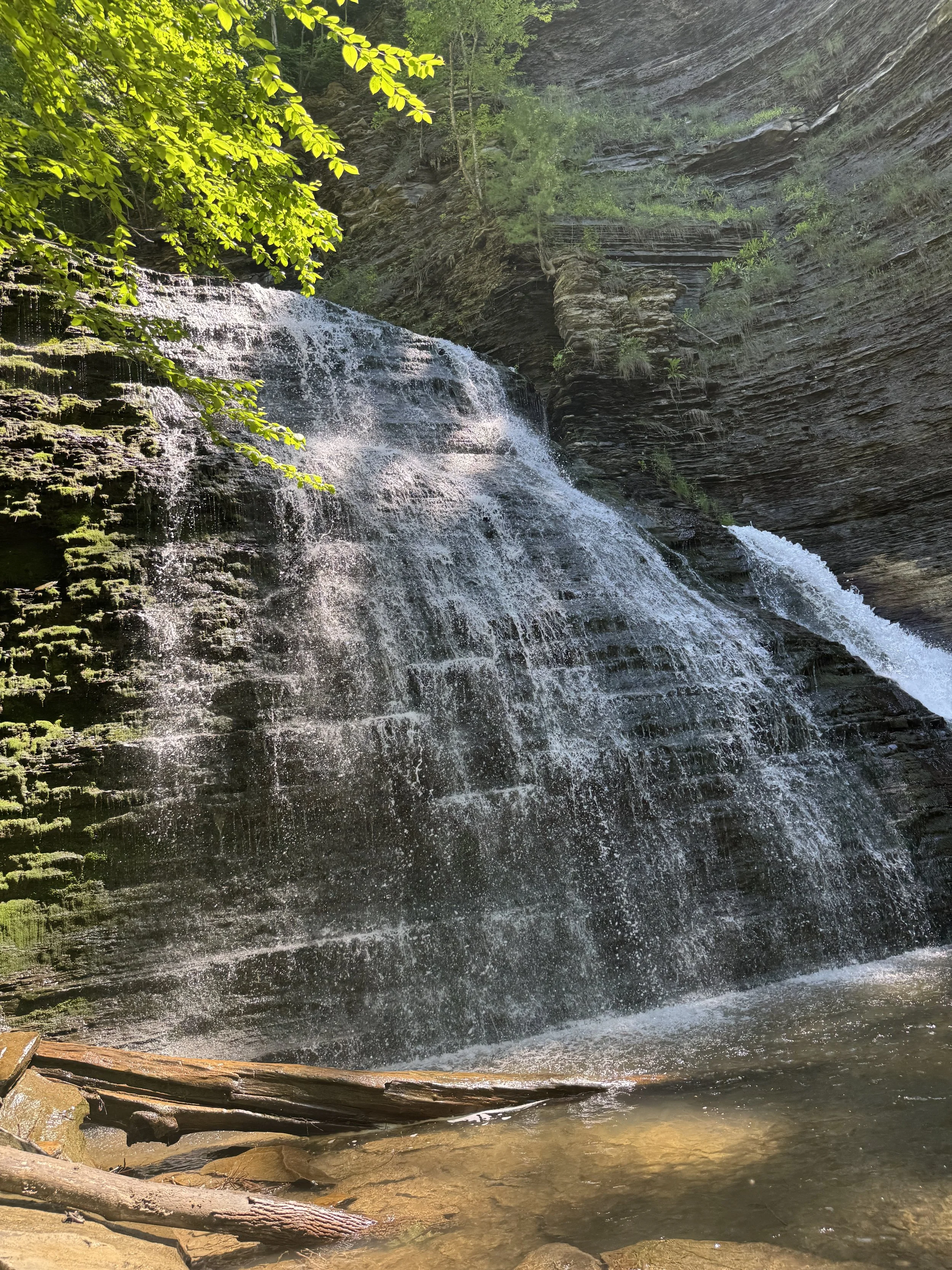 3 Creeks