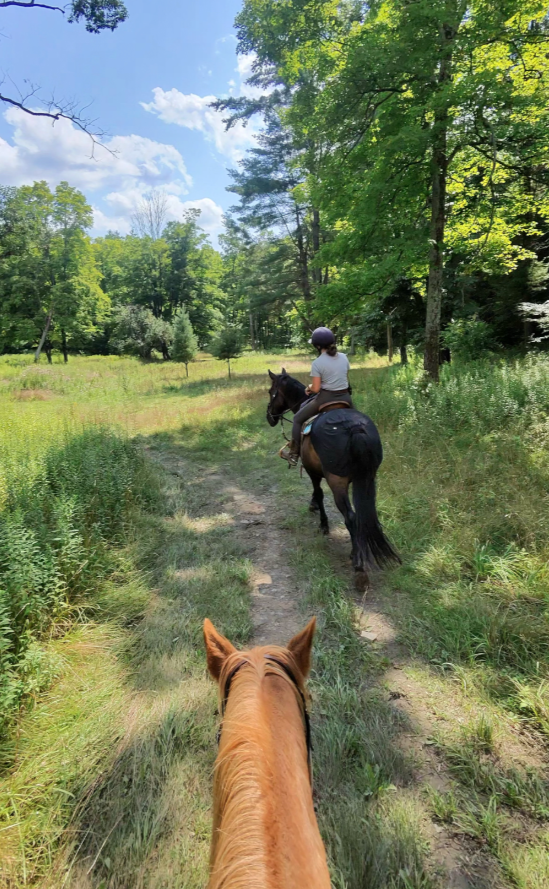 ride1.PNG