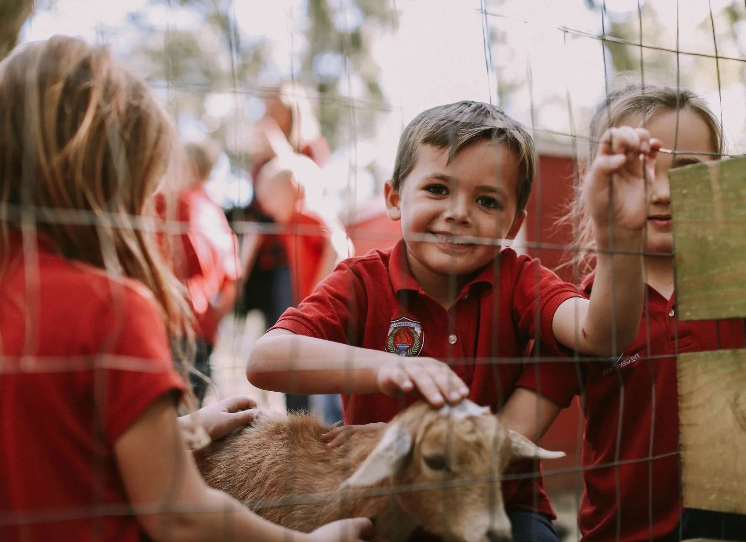 Children in red shirts petting animals behind a wire fence at a farm or petting zoo.