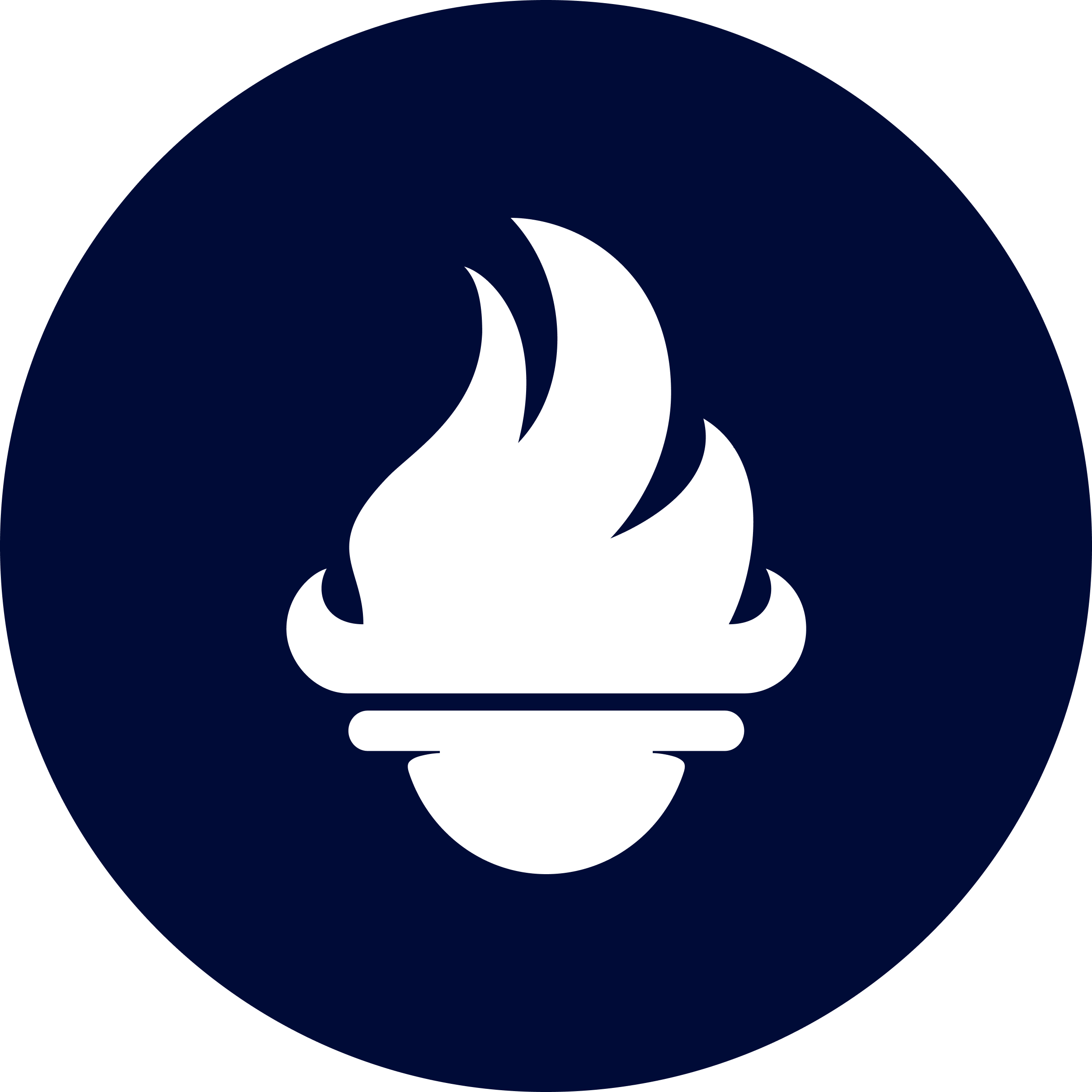 Geneva Blue & White icon