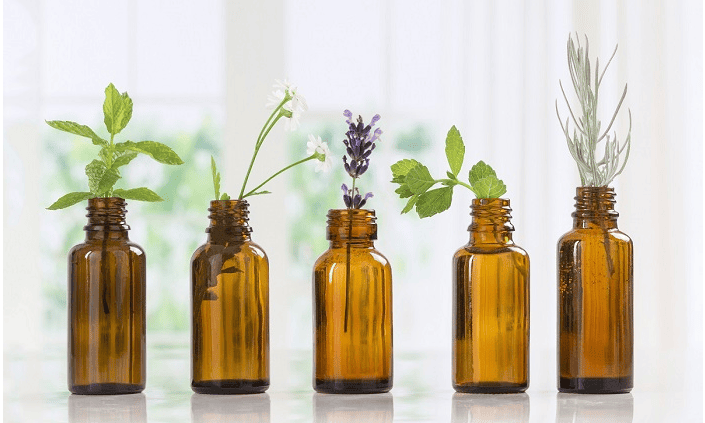 Five amber glass vials with different green plants and flowers inside, arranged in a row on a table.