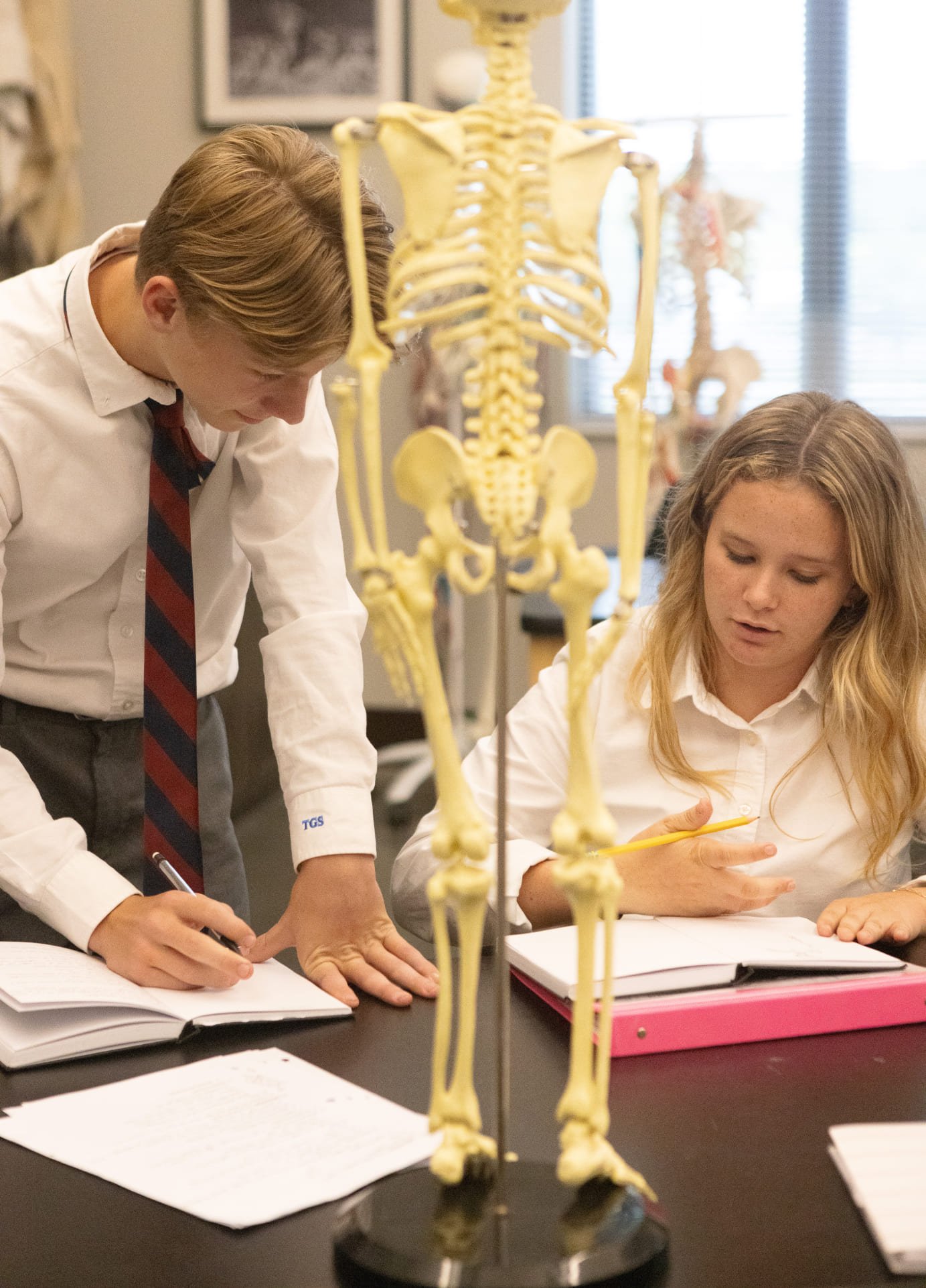 Two students in white shirts and one with a tie with red and black stripes, studying at a desk with open notebooks and writing instruments. A yellow human skeleton model is in the foreground, with another skeleton model visible in the background. The setting appears to be a classroom or laboratory.
