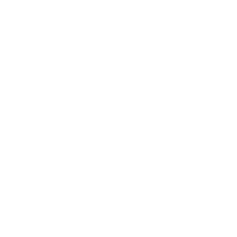Illustration of a torch with flames, surrounded by laurel branches