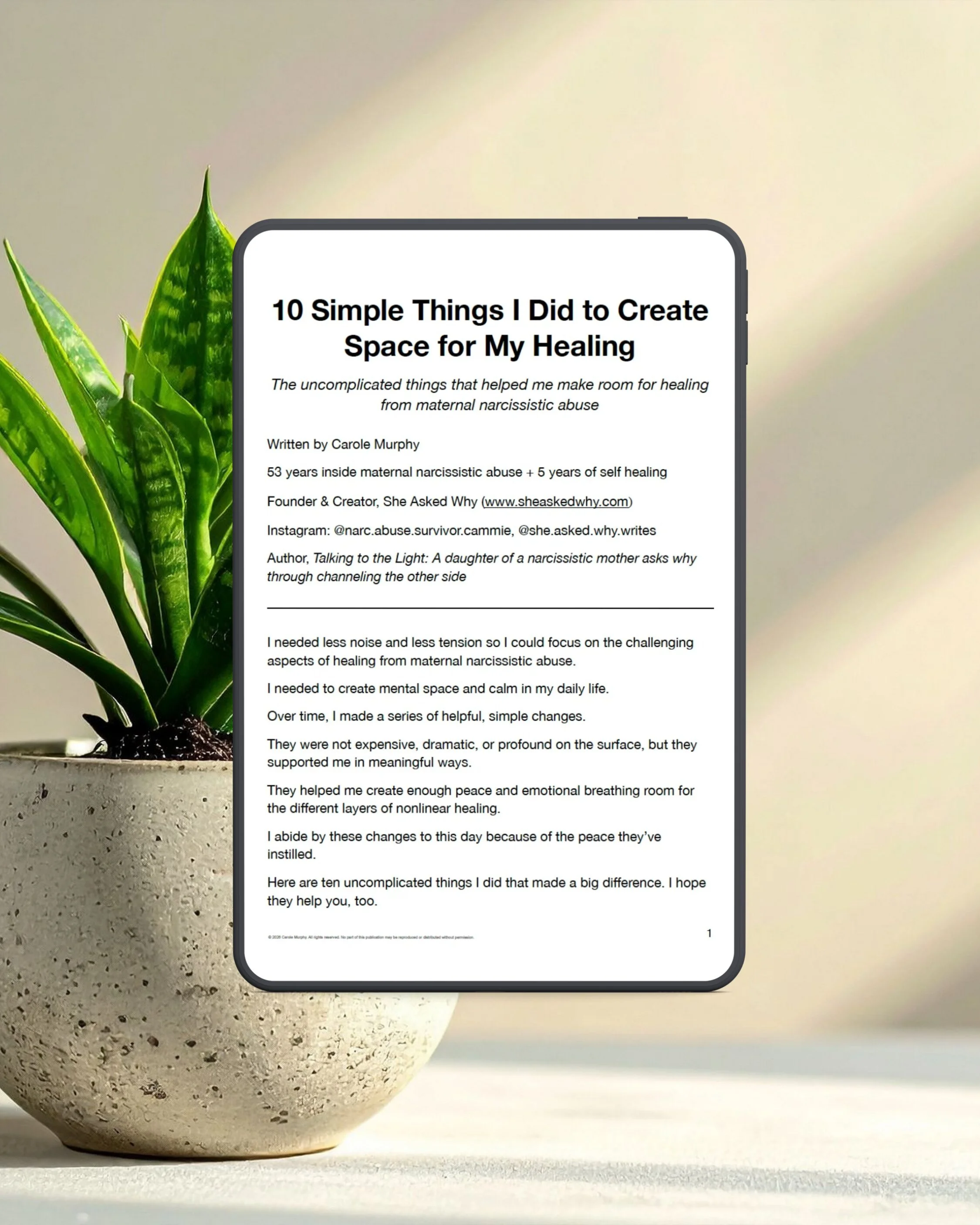 10 Simple Things I Did to Create Space for My Healing from maternal narcissistic abuse guide cover