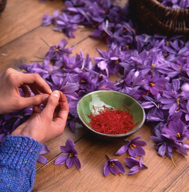 Fall in Morocco: A Season of Festivals, Harvests &amp; Shared Traditions