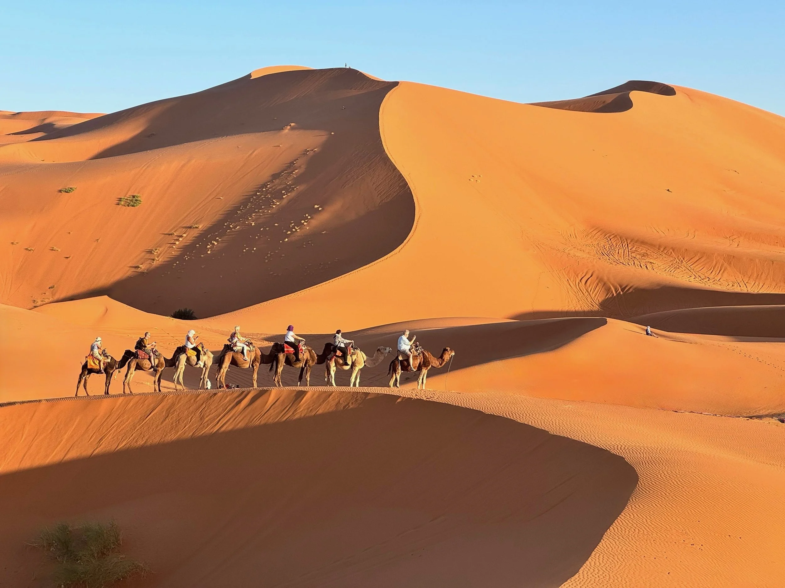 Best Time to Visit Morocco: Weather, Season &amp; Travel Style