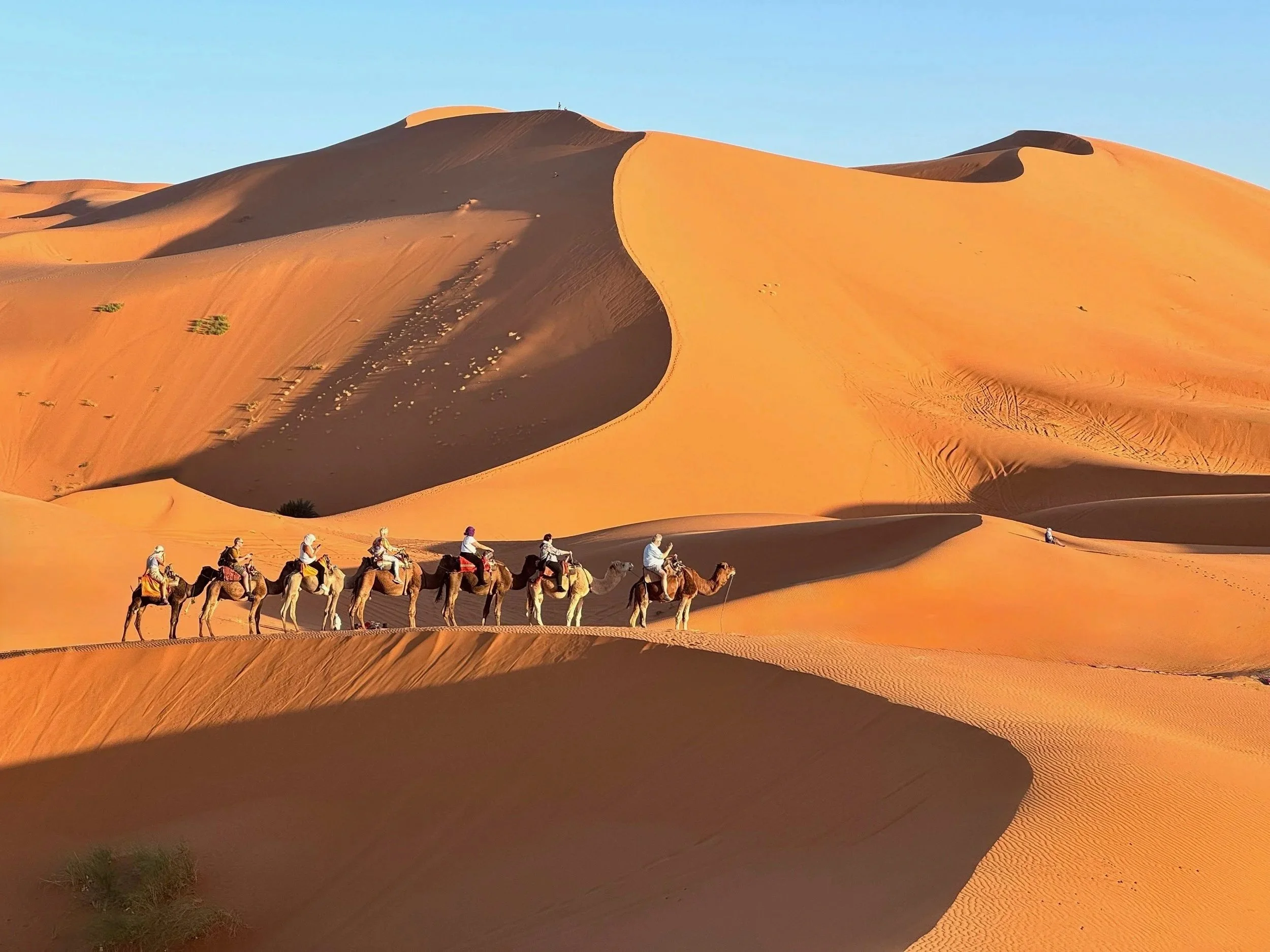 Best Time to Visit Morocco: Weather, Season &amp; Travel Style