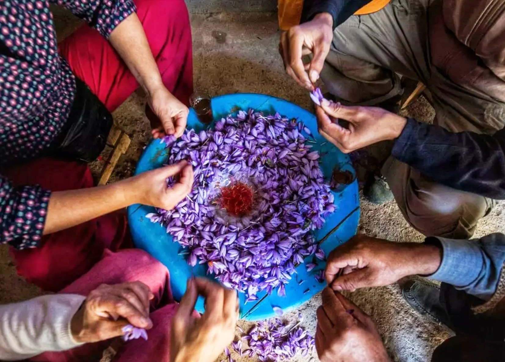 Saffron Harvest + Cultural Festivals Journey - Oct 2026