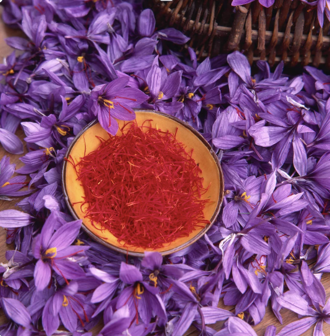 Screenshot 2026-04-12 at 11.27.45 AM.png