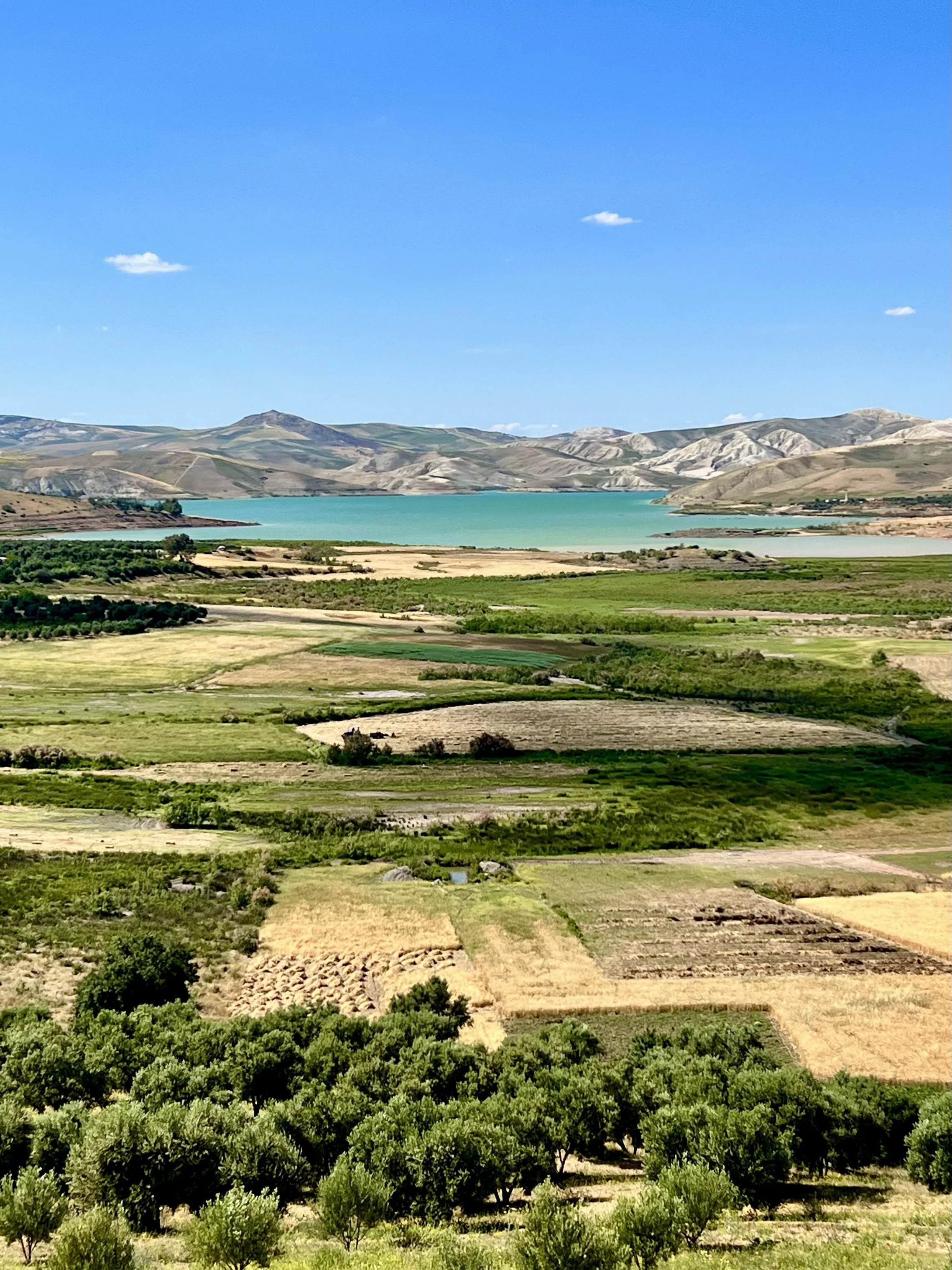 A scenic landscape with green fields, a turquoise lake, and rolling hills under a bright blue sky with a few small clouds.