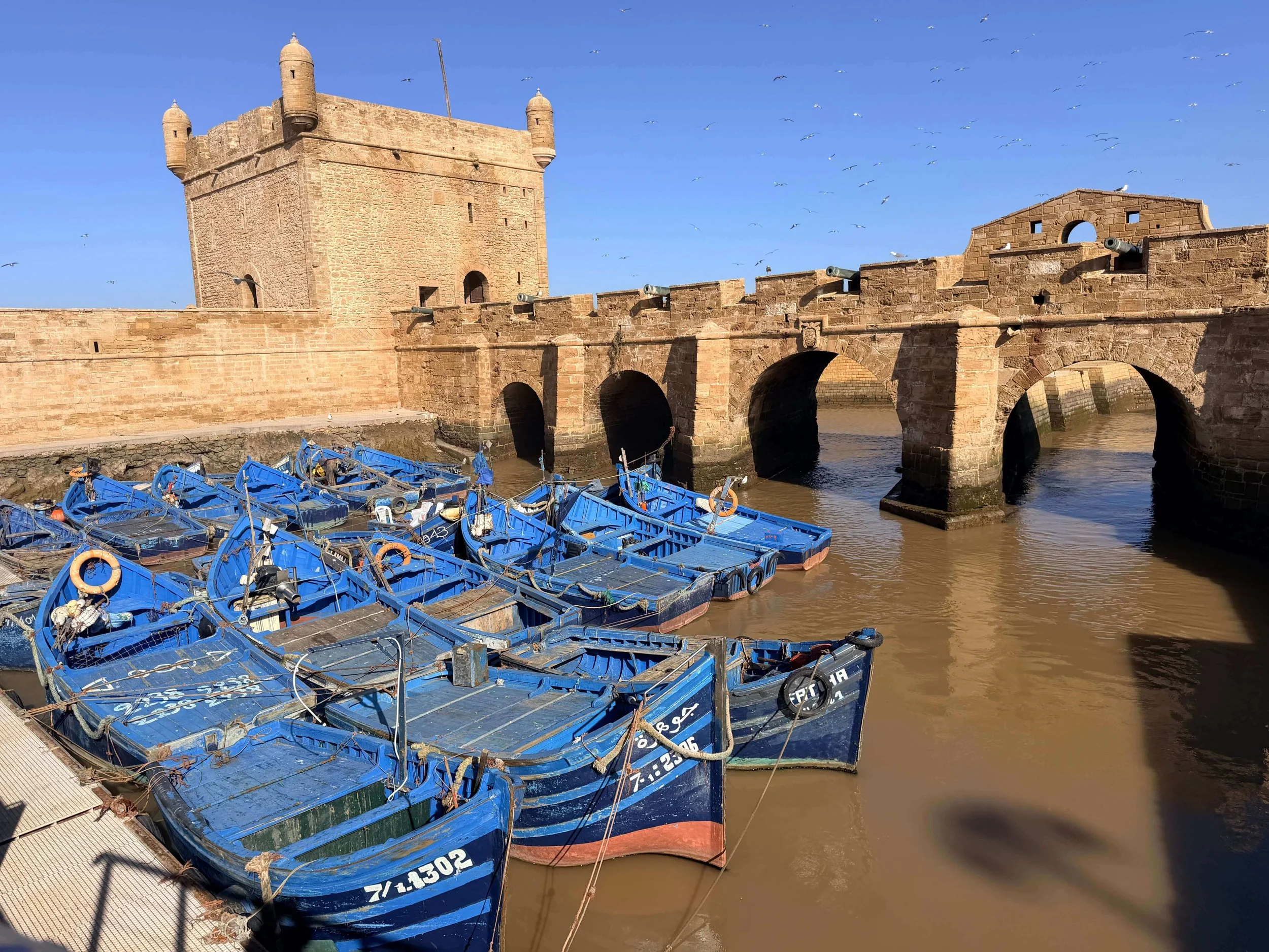 Essaouira port.jpg