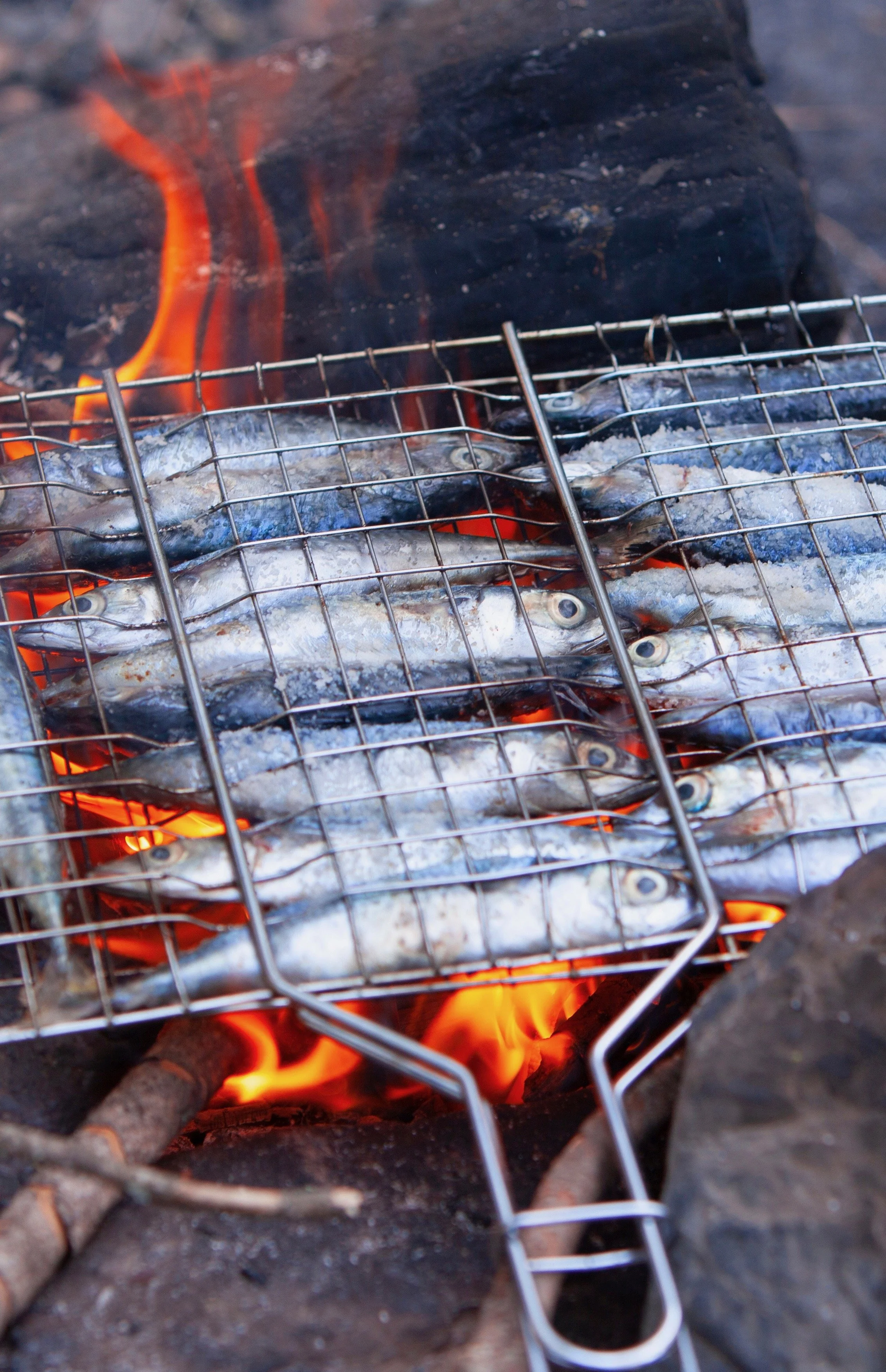 Asilah's Grilled Sardines