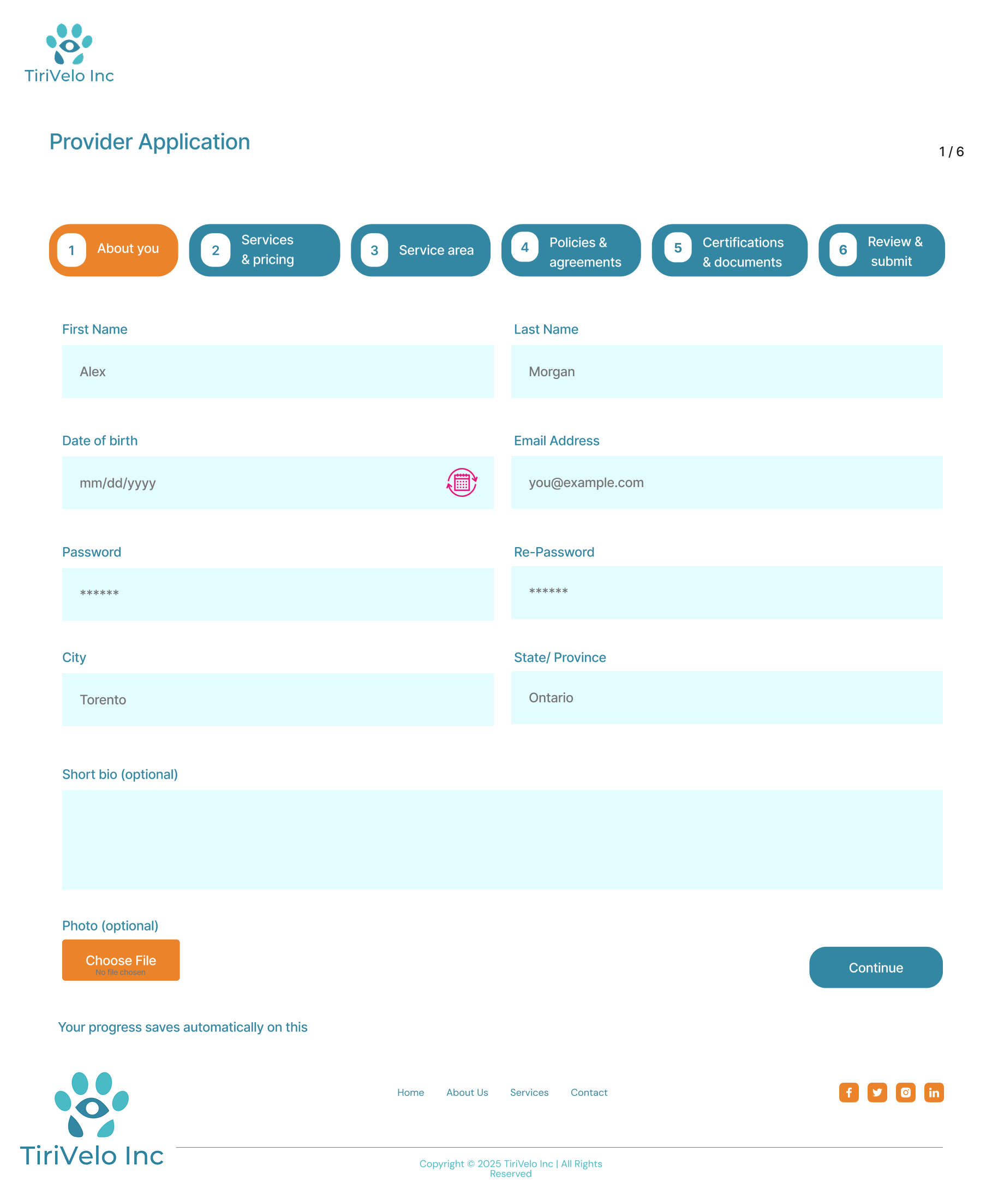 Provider Application Flow