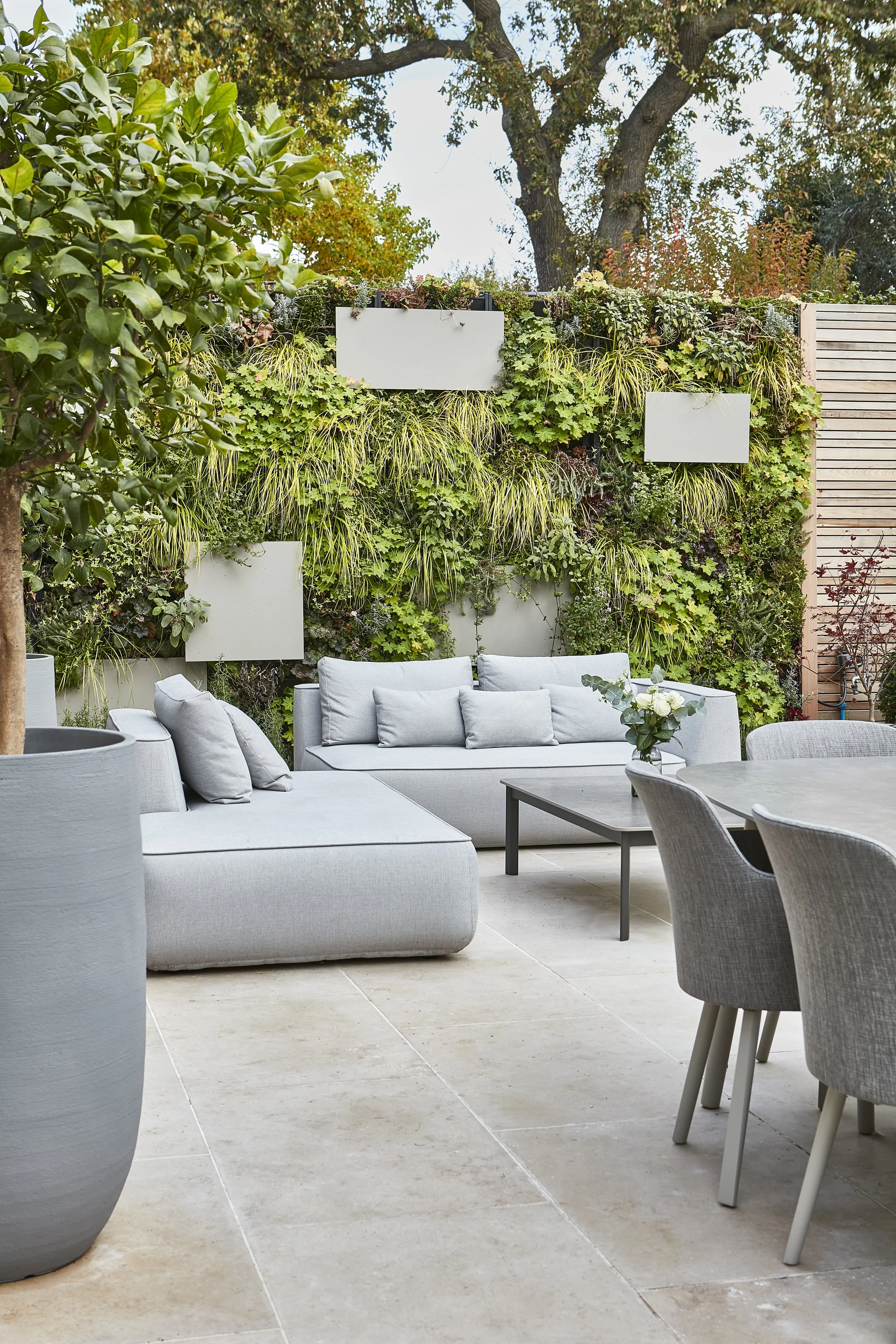 Hernondale Jamie Blake 26.jpg