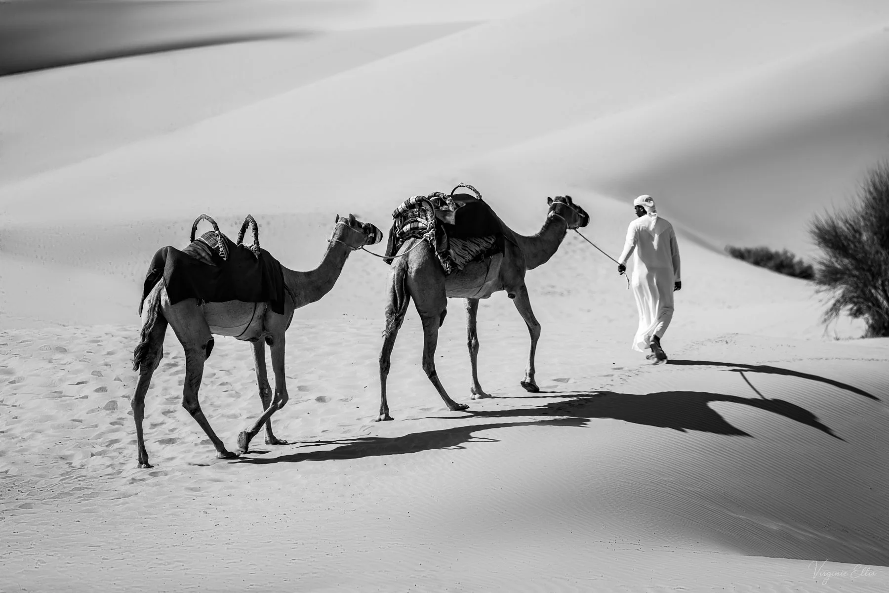 desert bnw--.jpg
