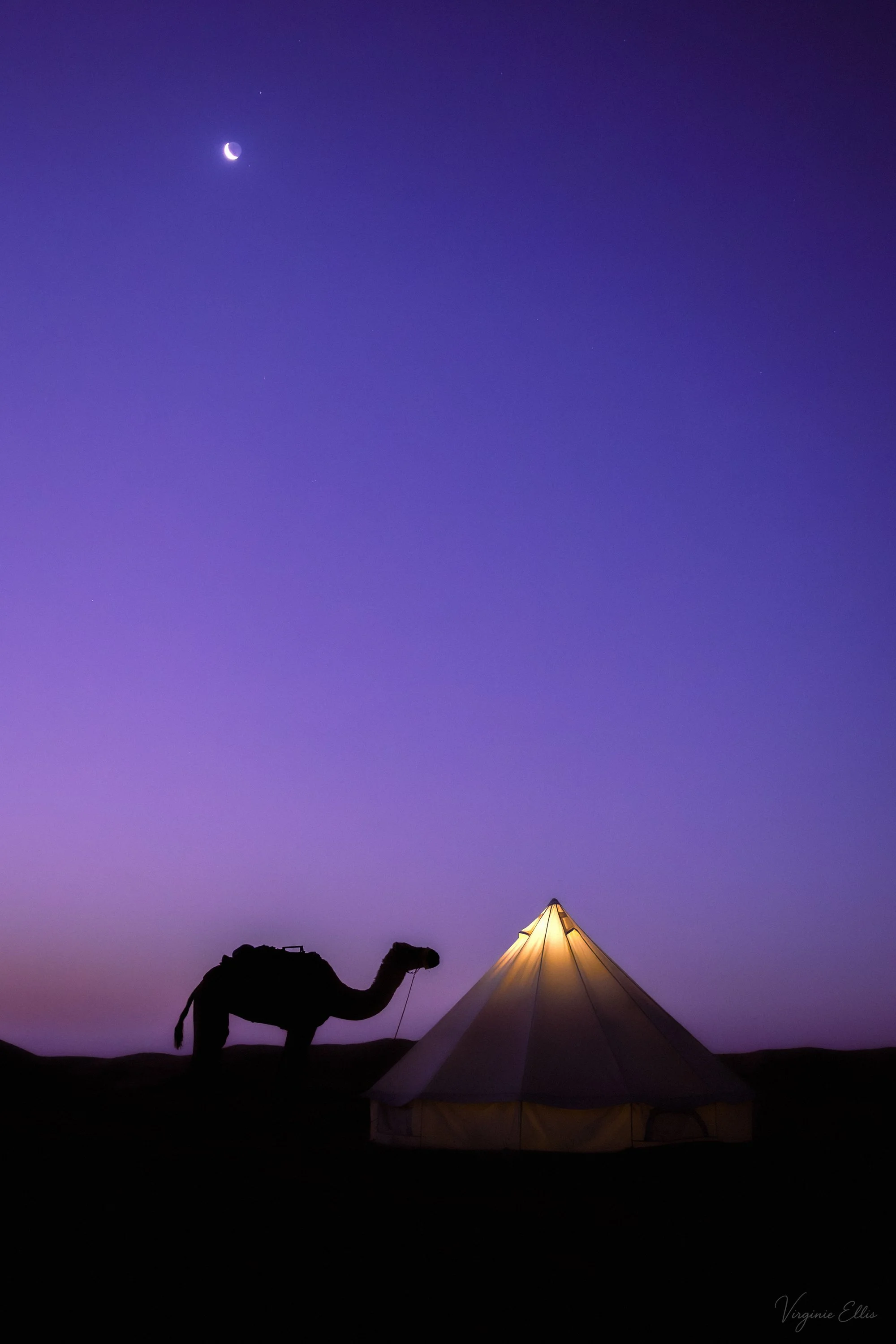 virginie-desert in color.jpg