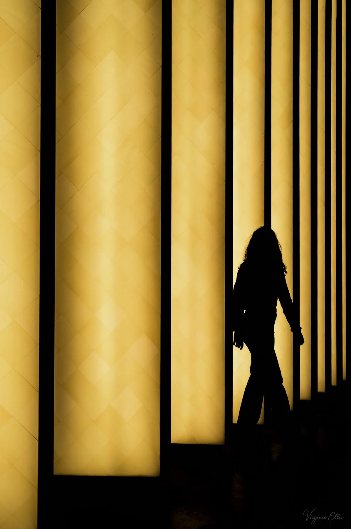virginie-ellis-europe bnw-5.jpg