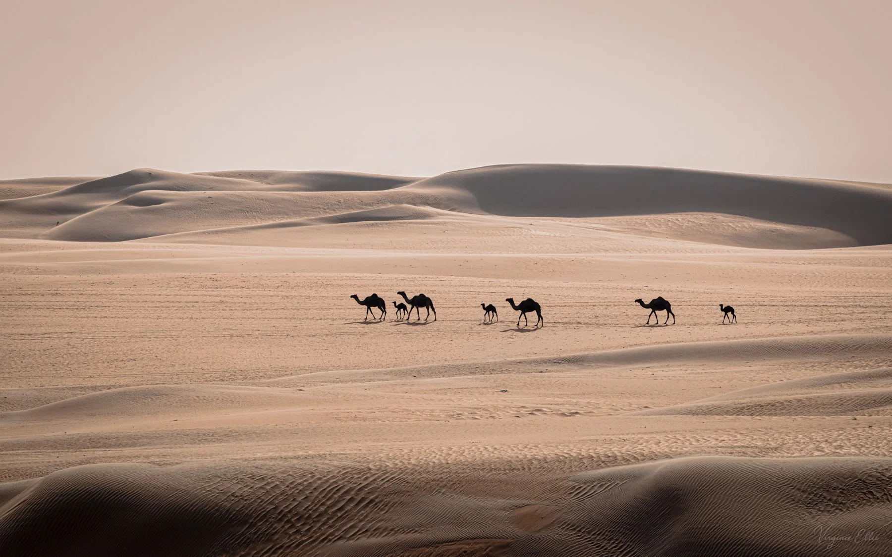 virginie-desert in color-28.jpg