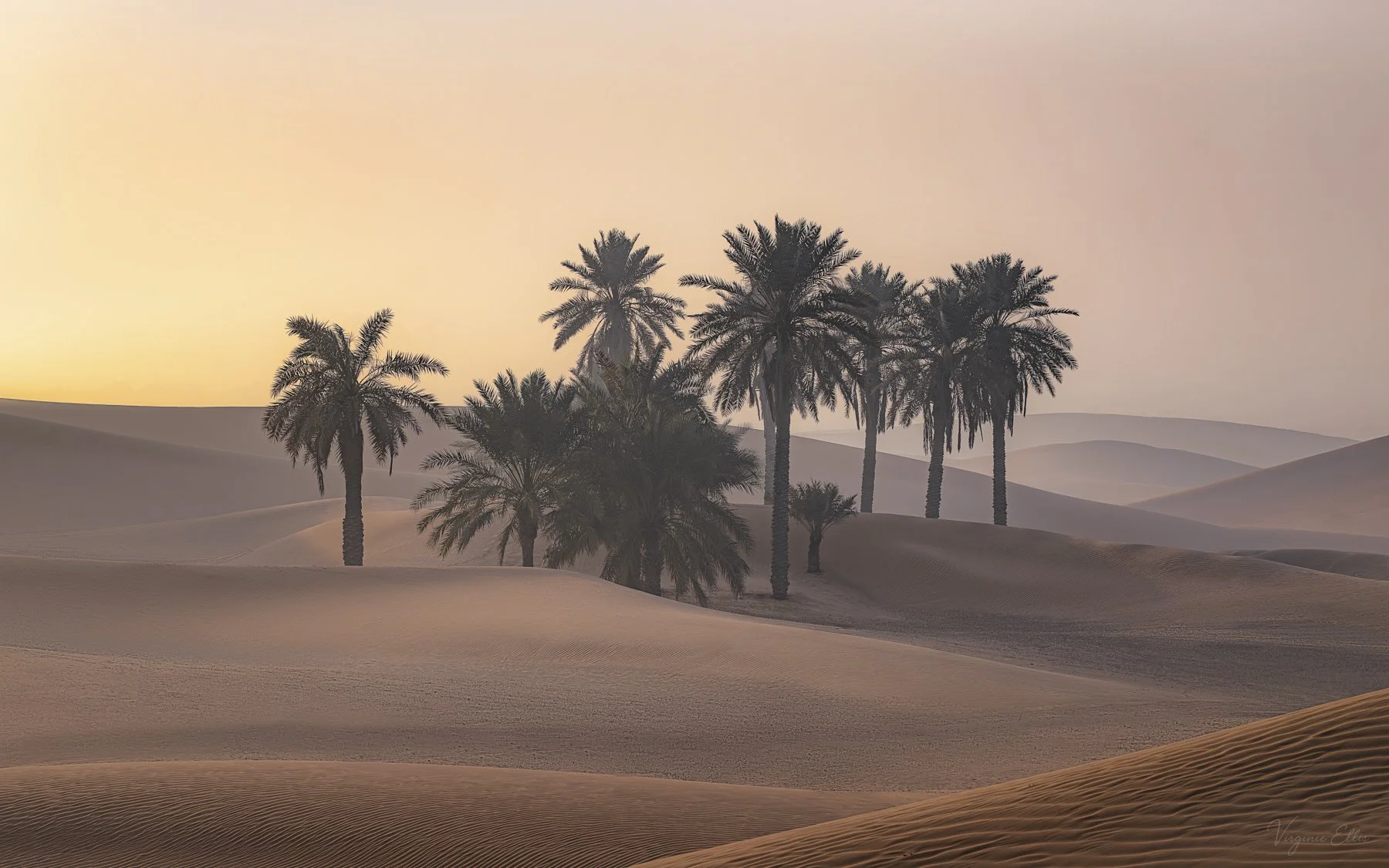 virginie-DESERT ALIVE-17.jpg