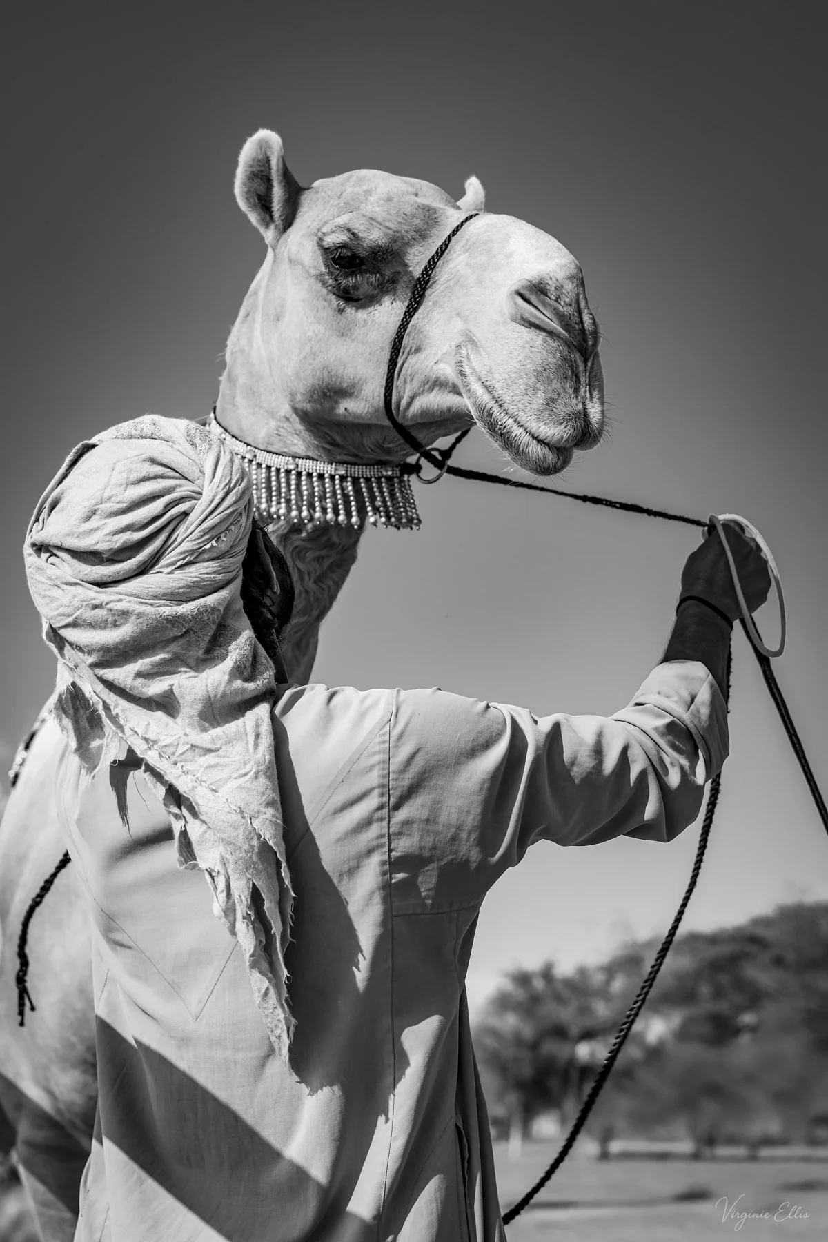 virginie-DESERT IN BNW-23.jpg