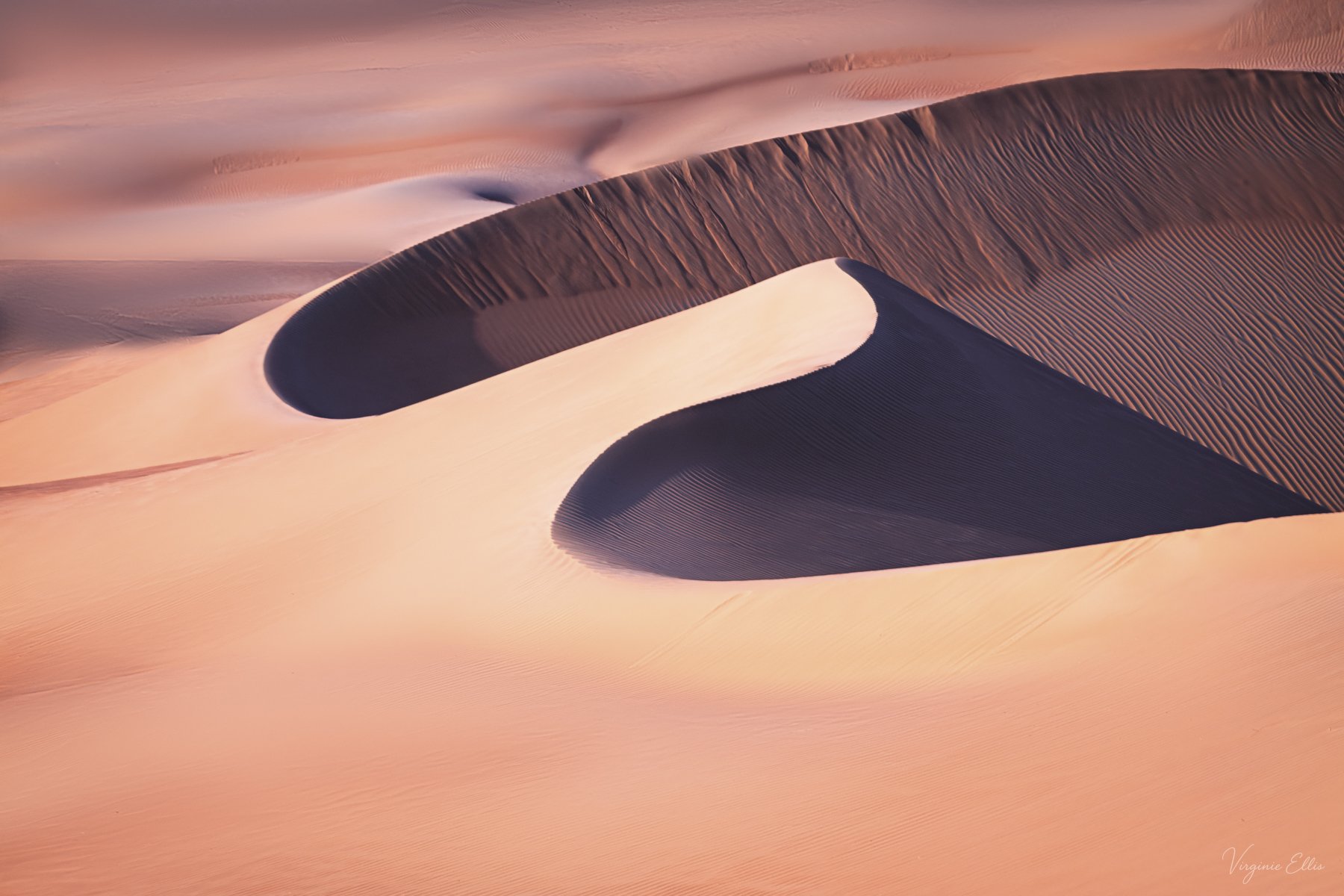 Dune