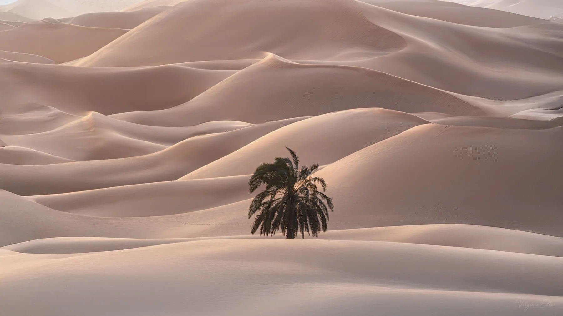 virginie-DESERT ALIVE-16.jpg