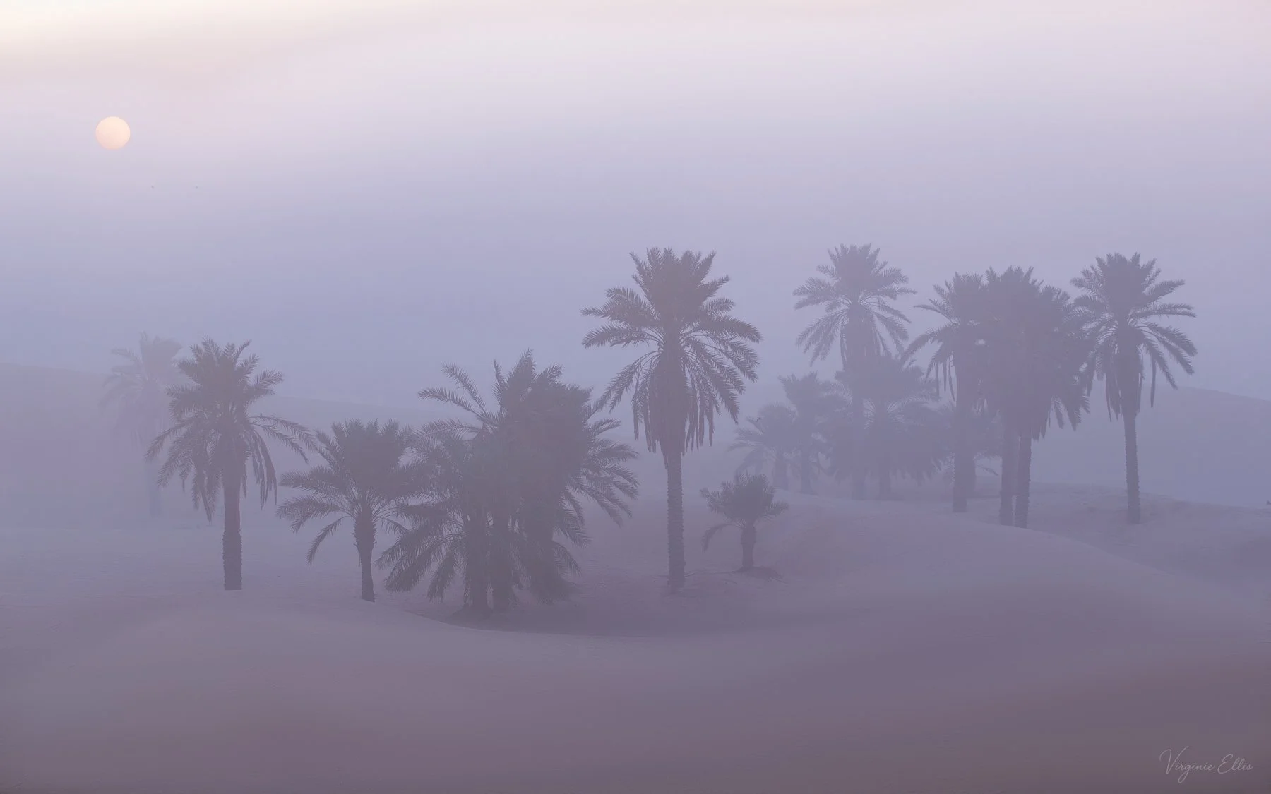 virginie-desert in color.jpg