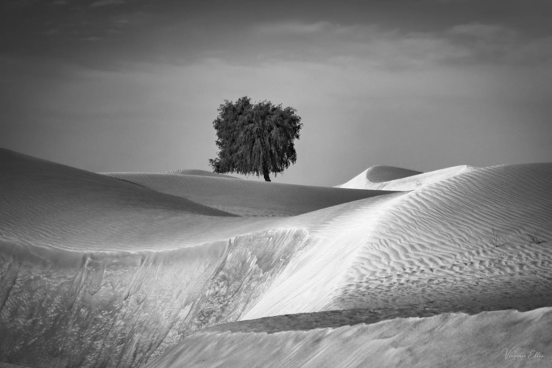 virginie-DESERT IN BNW-10.jpg