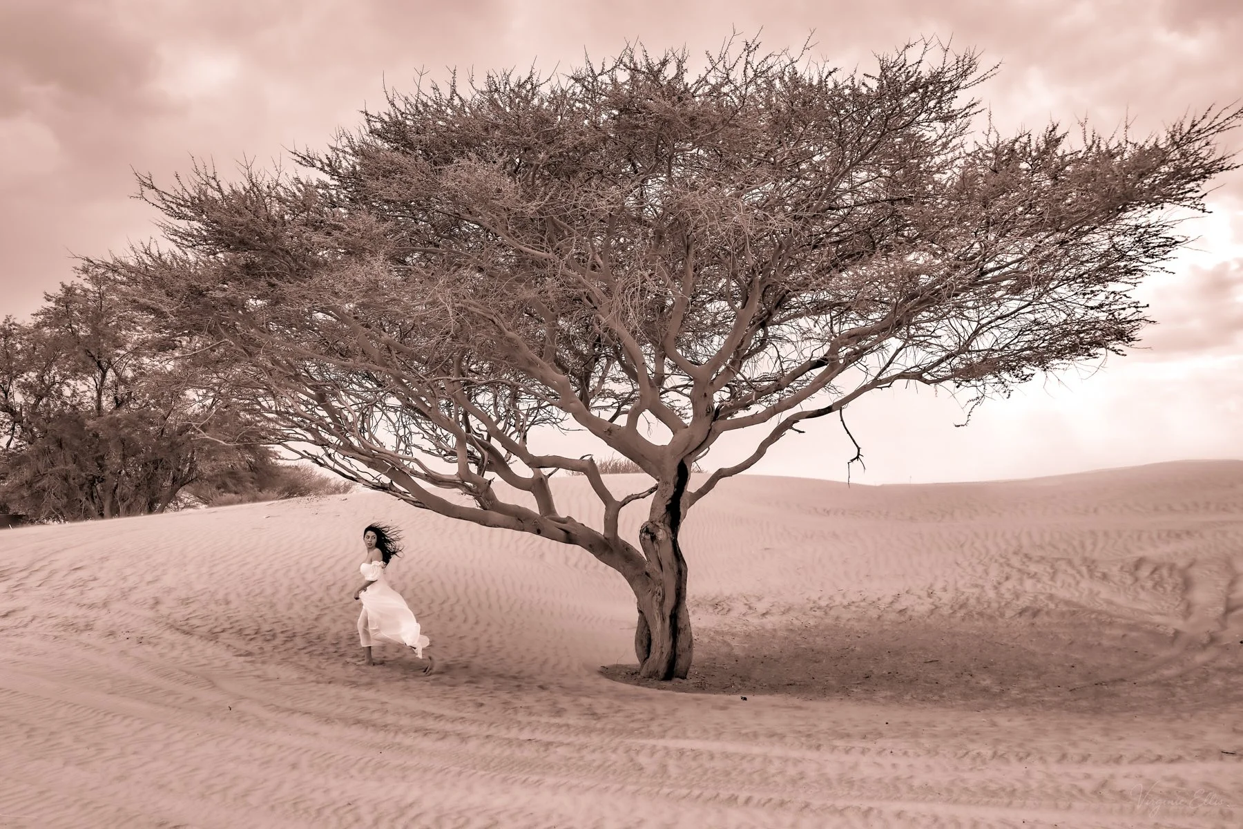 virginie-desert in color-16.jpg