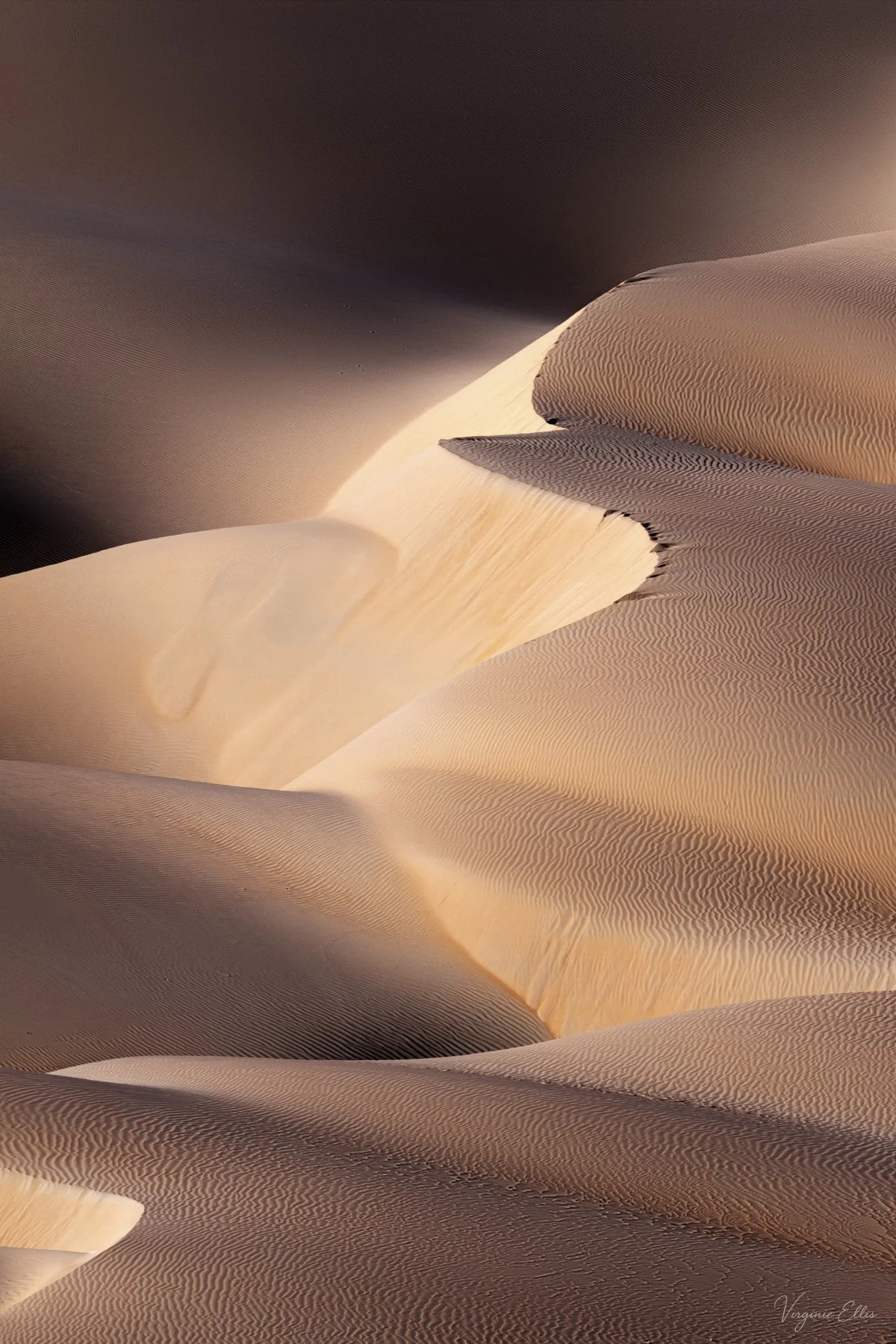 The songs of the Dunes