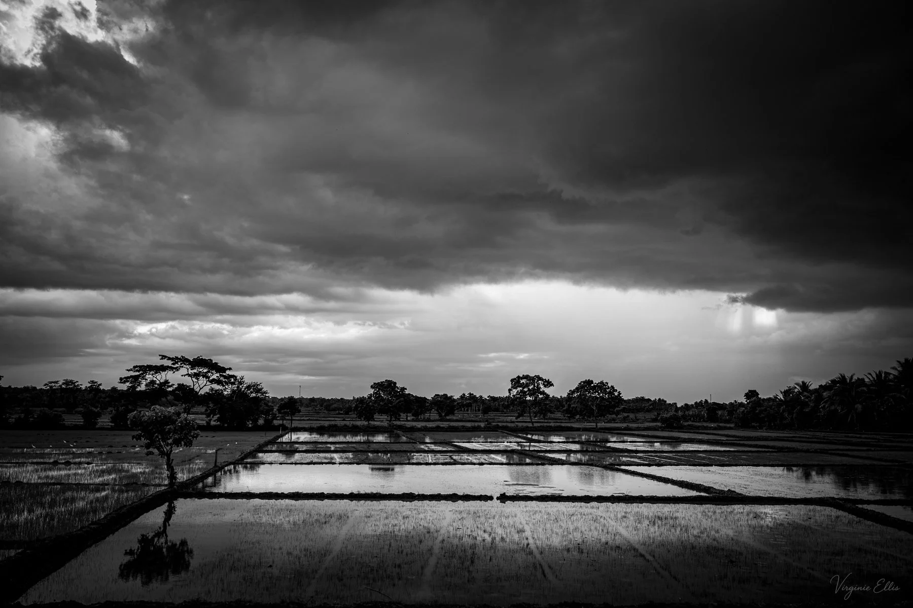 virginie-desert in color-4.jpg