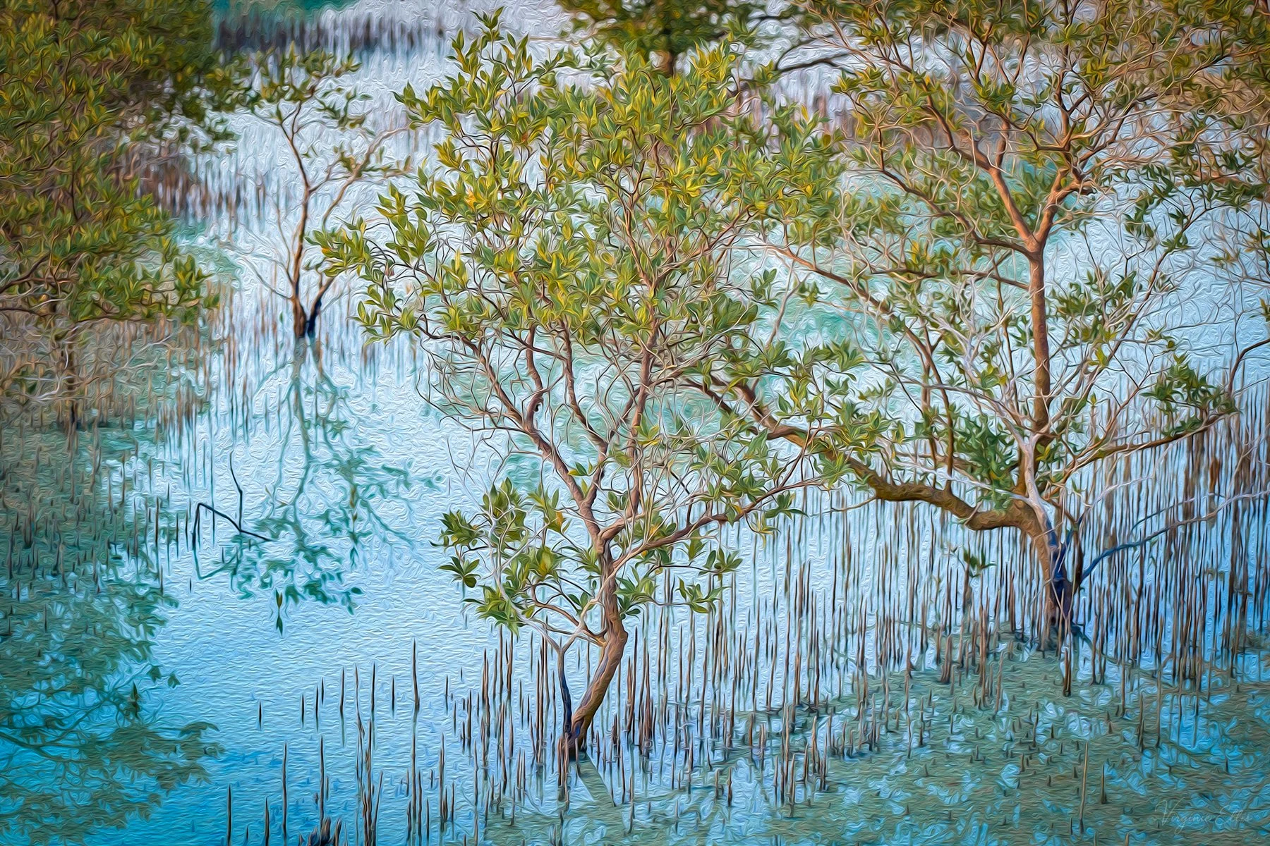 virginie-desert in color-21.jpg